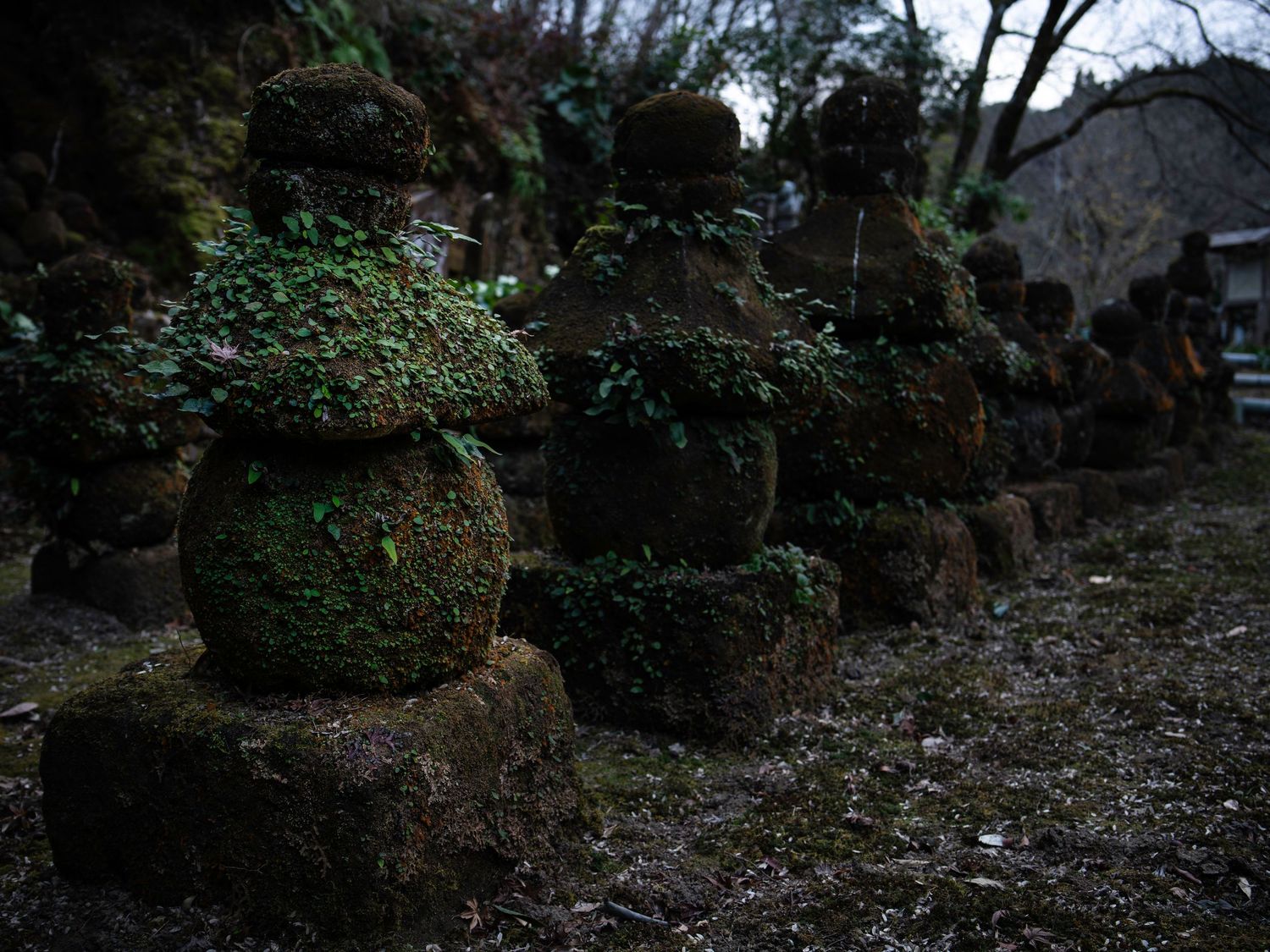 Doryu Ji Temple Ruins. Japan. Kagoshima. Kyushu. Japan 2026.
