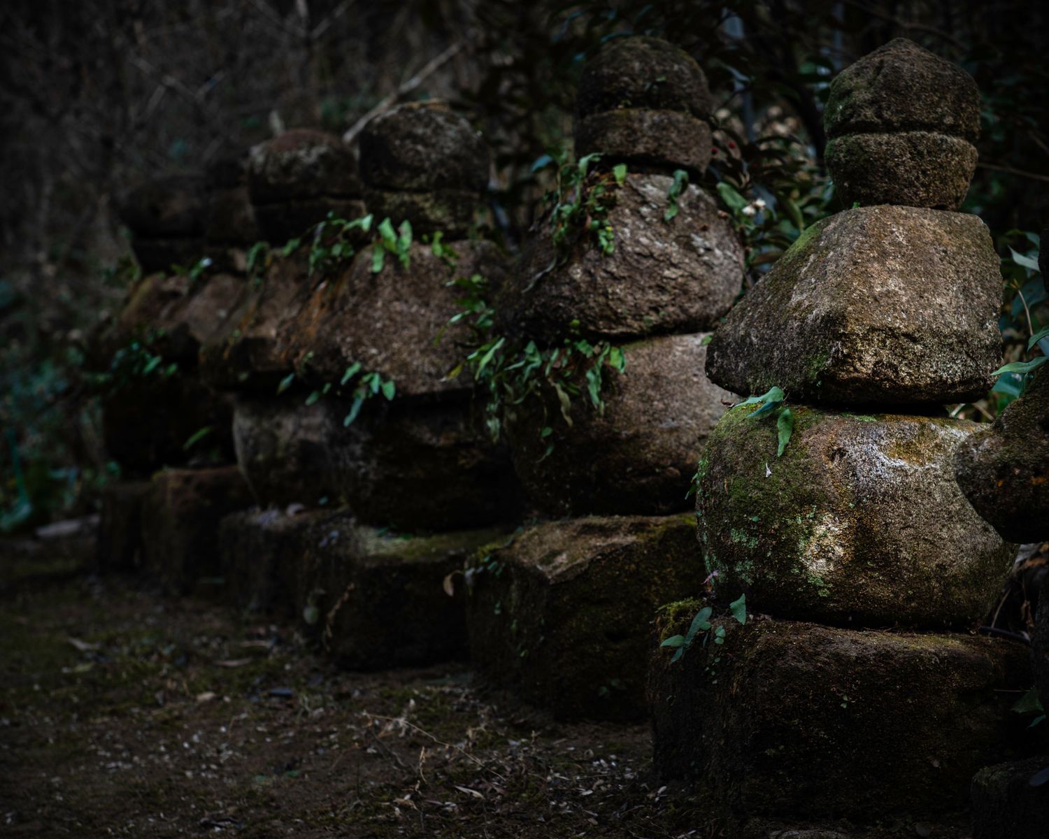 Doryu Ji Temple Ruins. Japan. Kagoshima. Kyushu. Japan 2026.