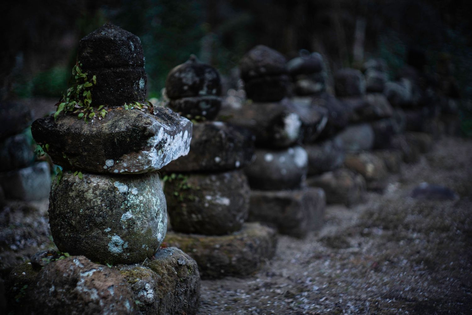 Doryu Ji Temple Ruins. Japan. Kagoshima. Kyushu. Japan 2026.