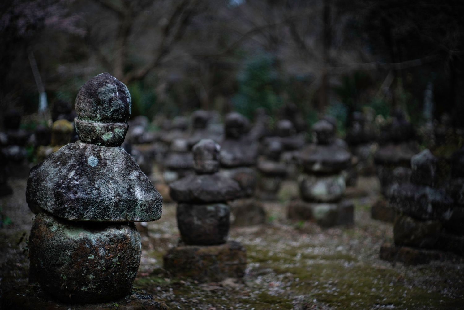 Doryu Ji Temple Ruins. Japan. Kagoshima. Kyushu. Japan 2026.