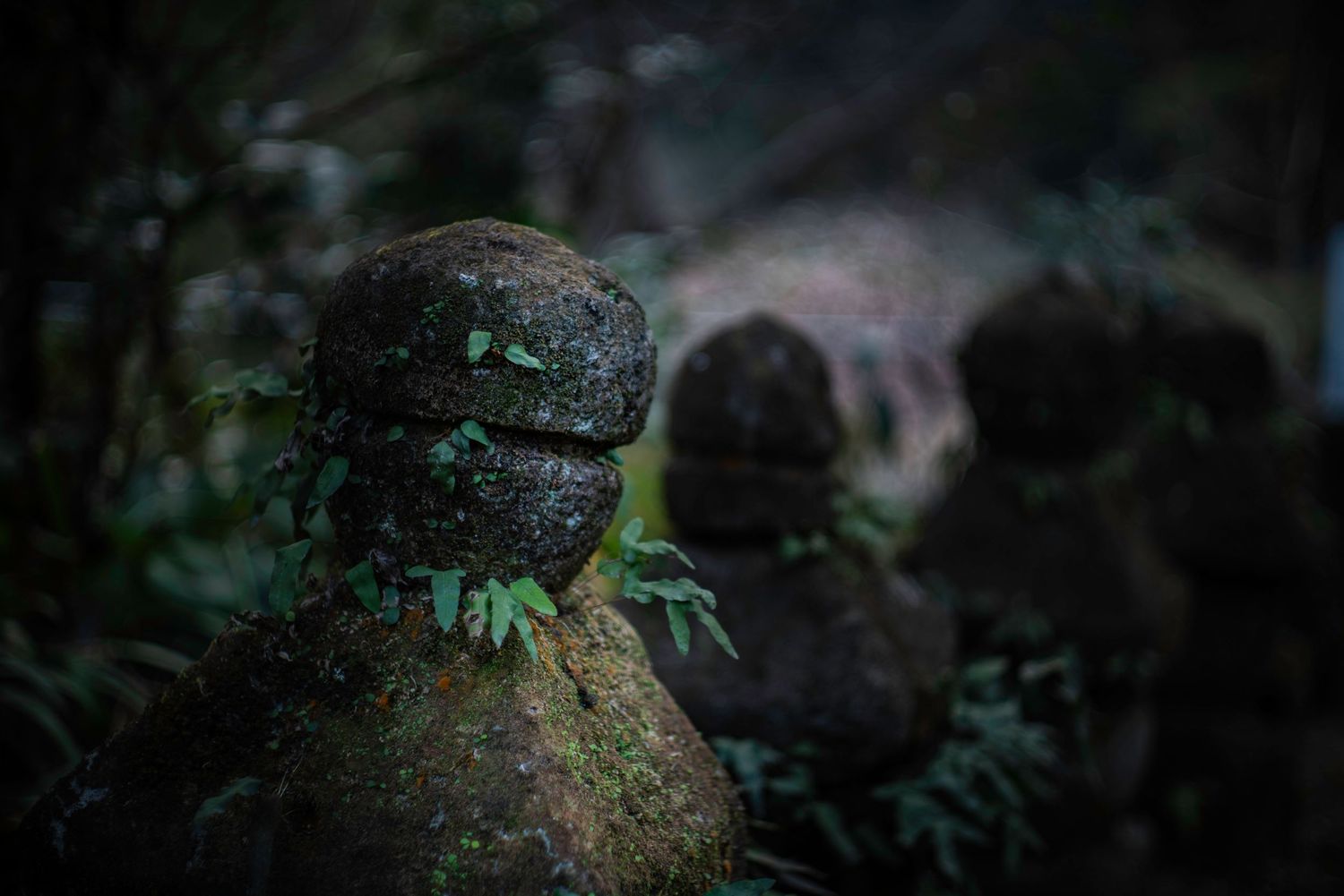 Doryu Ji Temple Ruins. Japan. Kagoshima. Kyushu. Japan 2026.