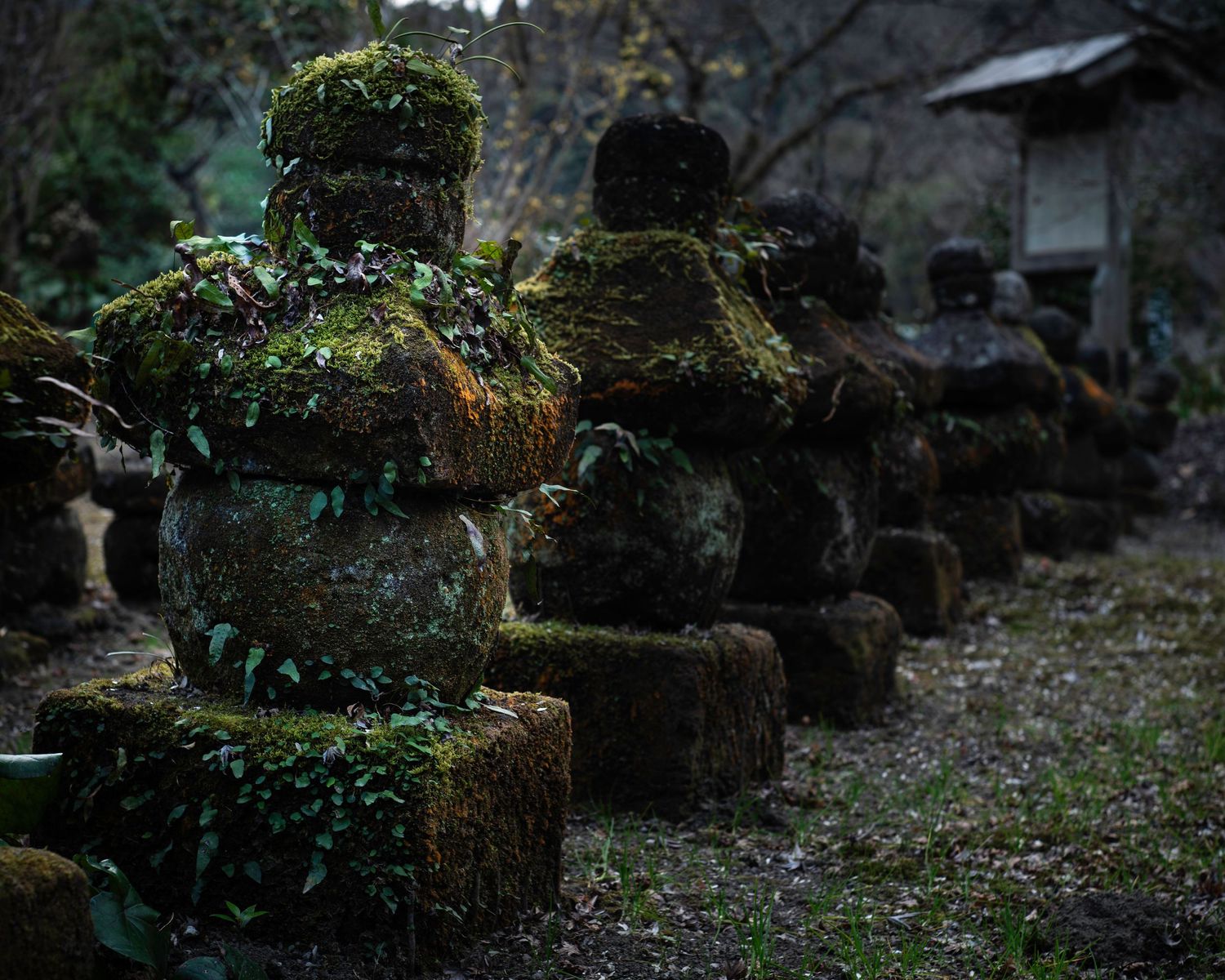 Doryu Ji Temple Ruins. Japan. Kagoshima. Kyushu. Japan 2026.