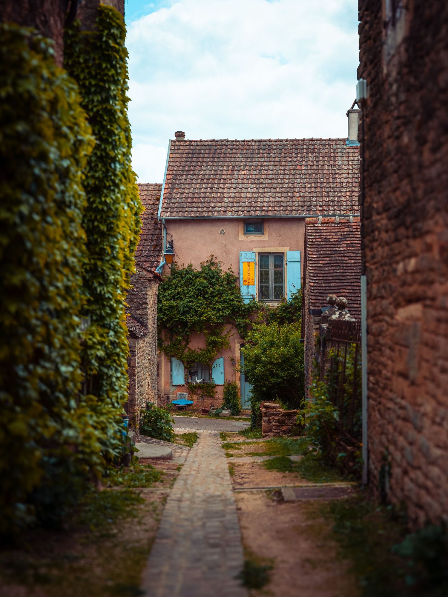 A narrow, cobblestone alleyway between old stone buildings covered in ivy, France