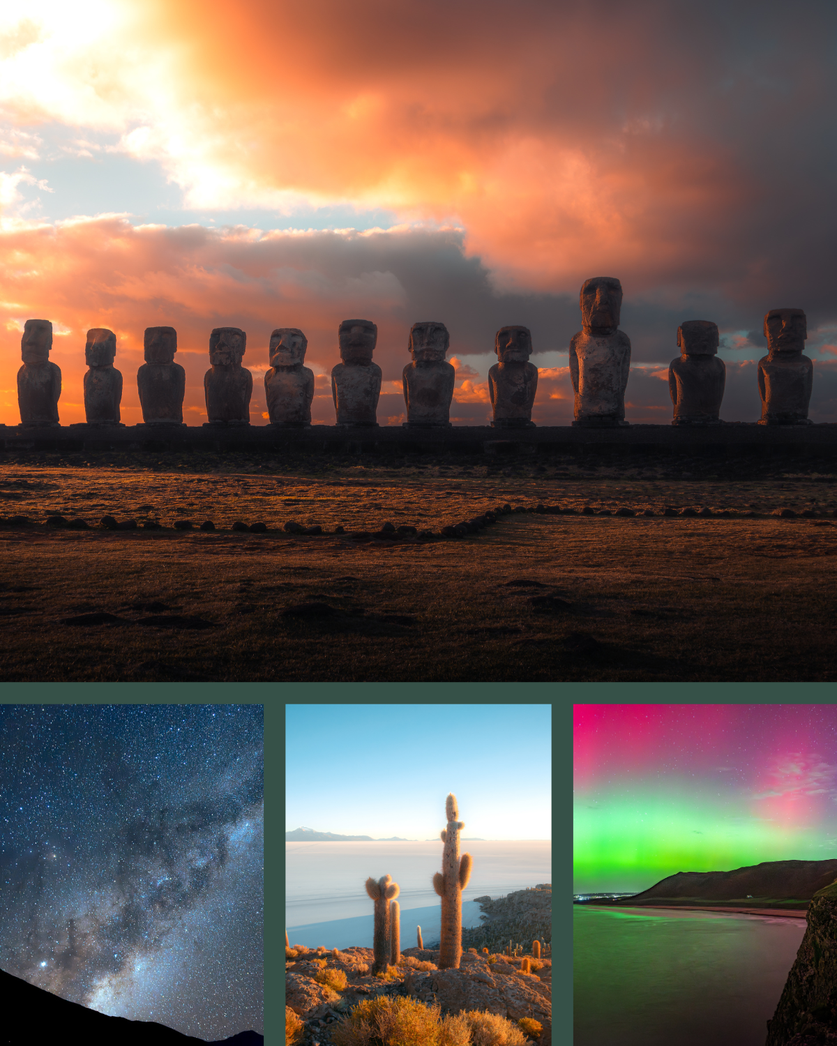 A collage of nature, night, and landscape photography