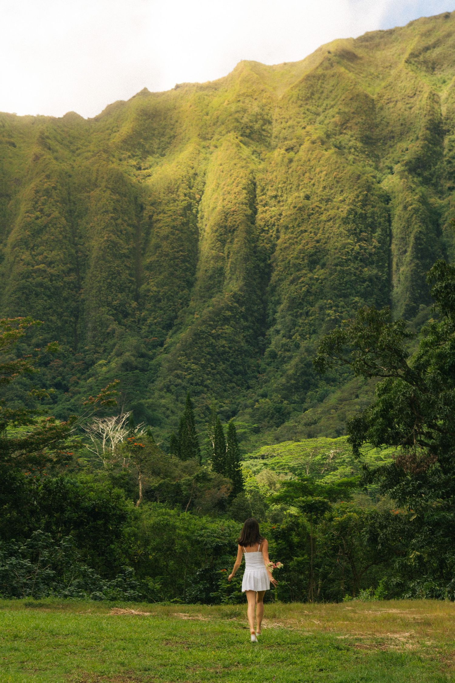 Woman in white dress walking toward dramatic green lush mountain cliffs in tropical Hawaii landscape.