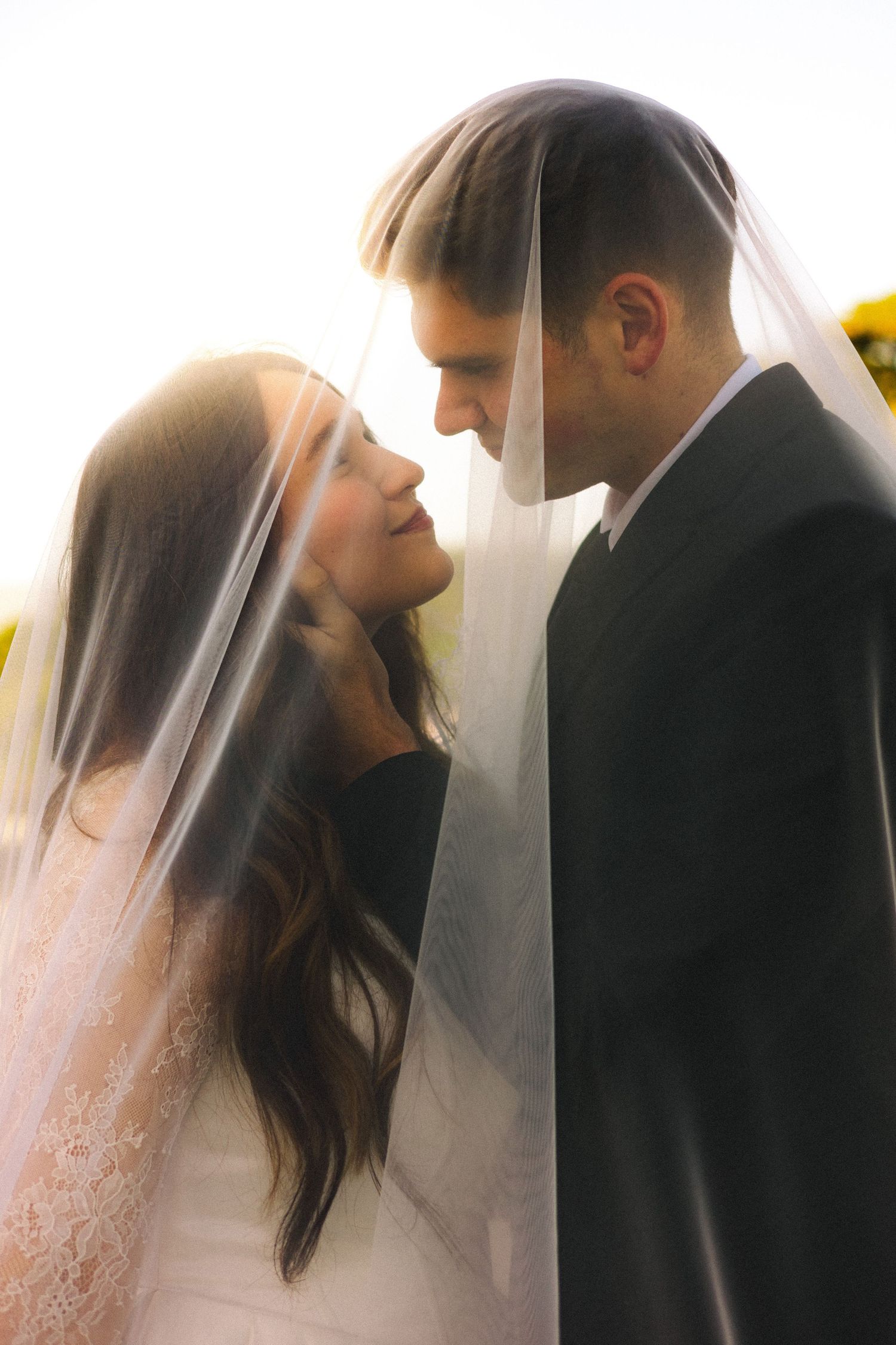 Bride and groom sharing intimate moment under wedding veil with warm backlight in sunflower field.
