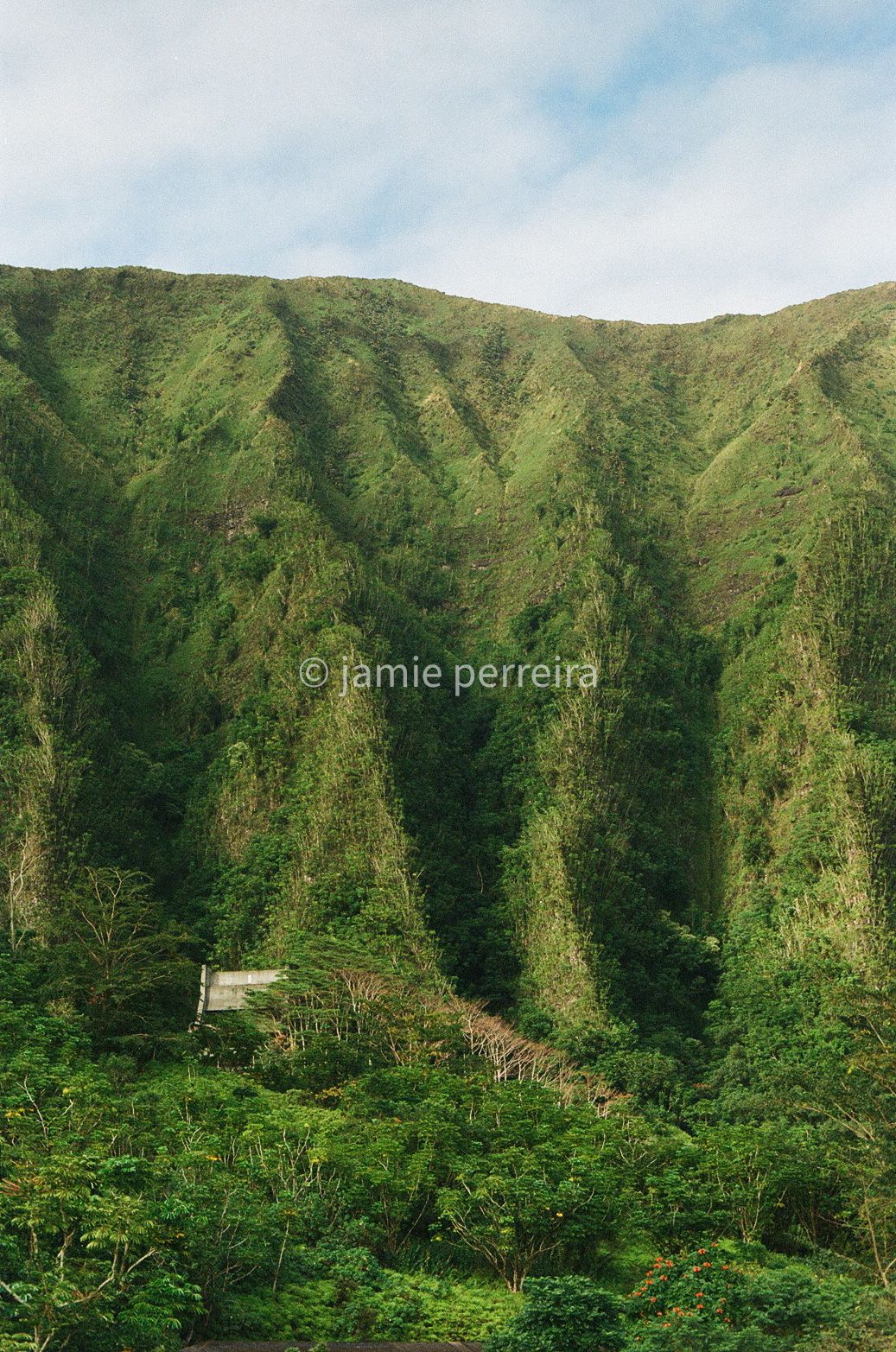 Lush green tropical mountain valley with dense vegetation covering steep hillsides under a partly cloudy sky.