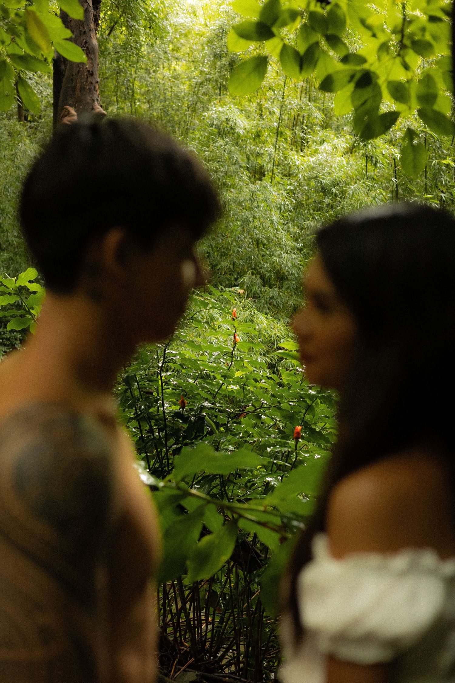 Couple sharing an intimate moment surrounded by vibrant green tropical forest foliage and leaves.