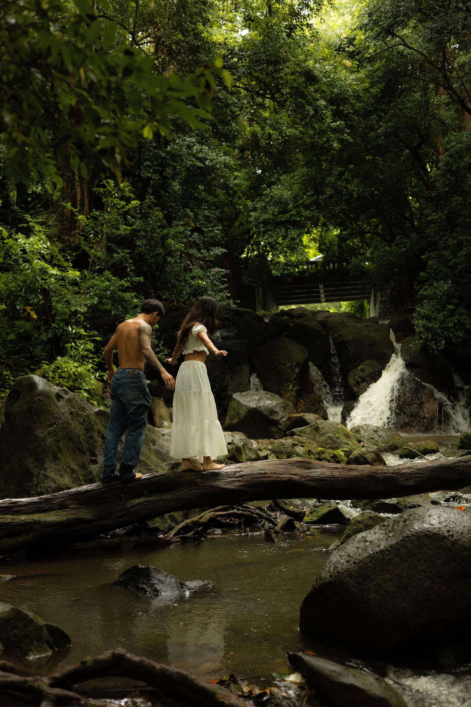 Couple holding hands while crossing a fallen log near a jungle waterfall in Hawaii.