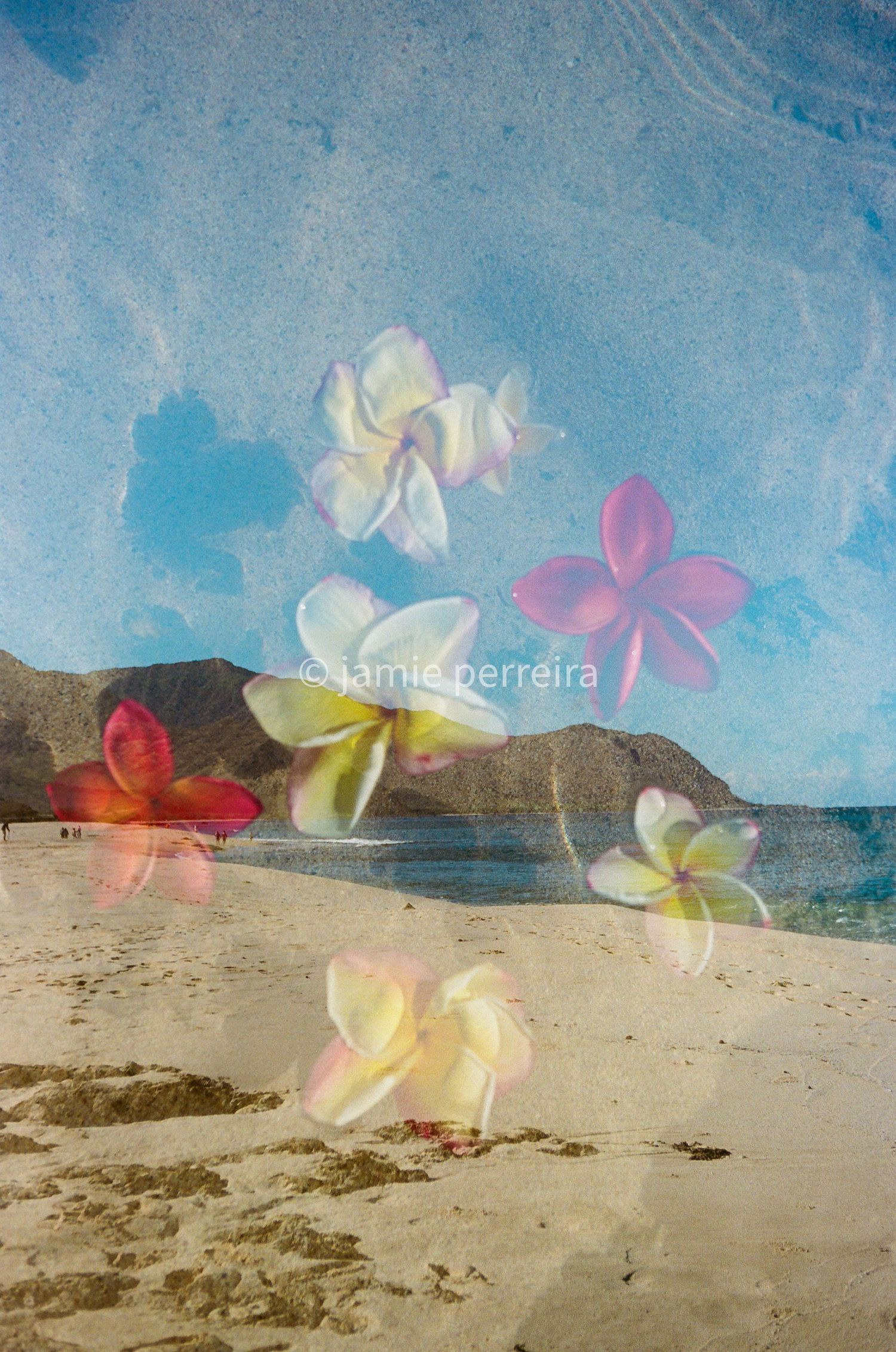 Dreamy beach scene with colorful plumeria flowers floating over sandy shore and blue ocean with mountains in background.