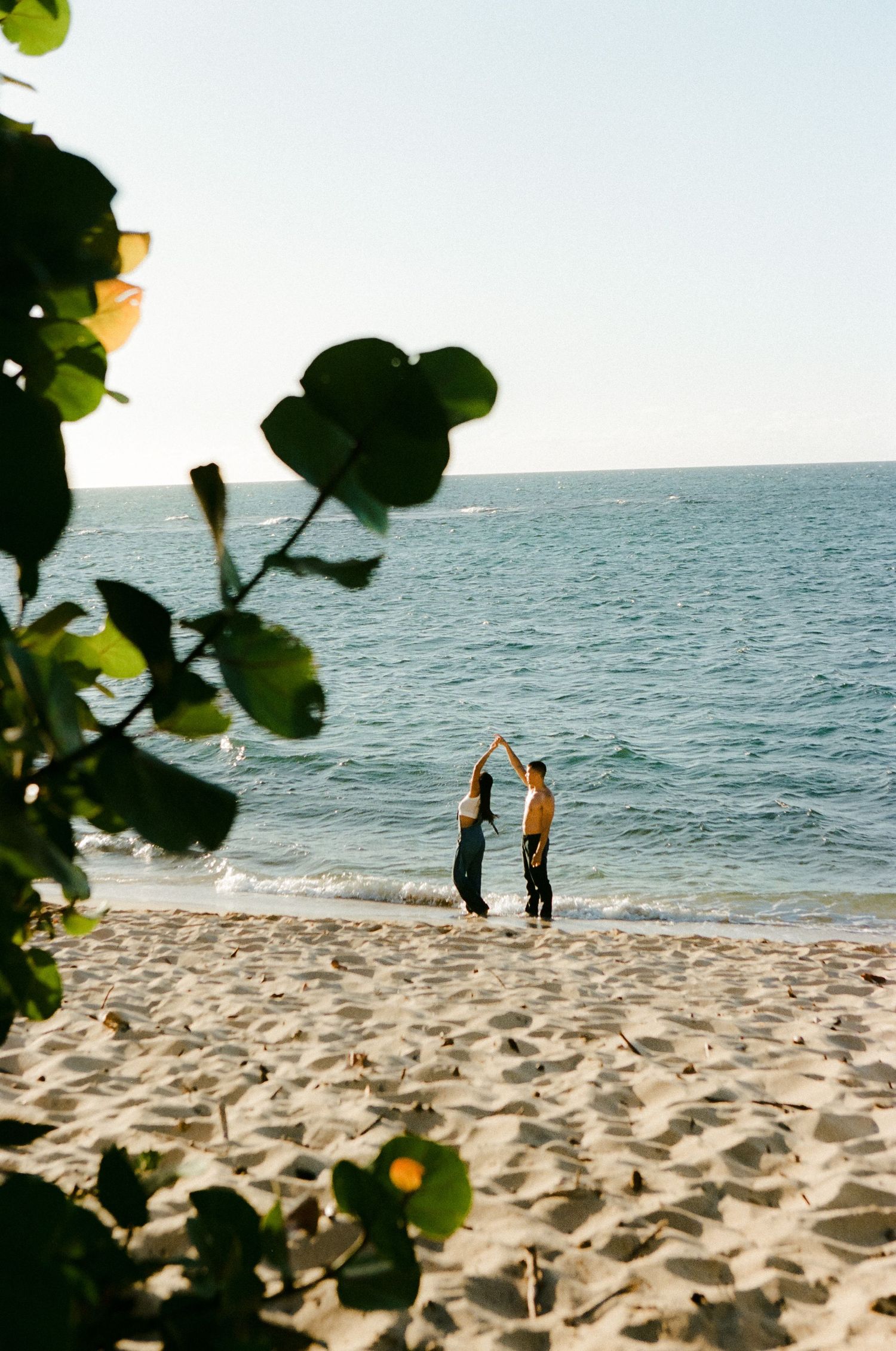 Couple dancing on beach shore framed by tropical leaves with calm blue ocean behind.