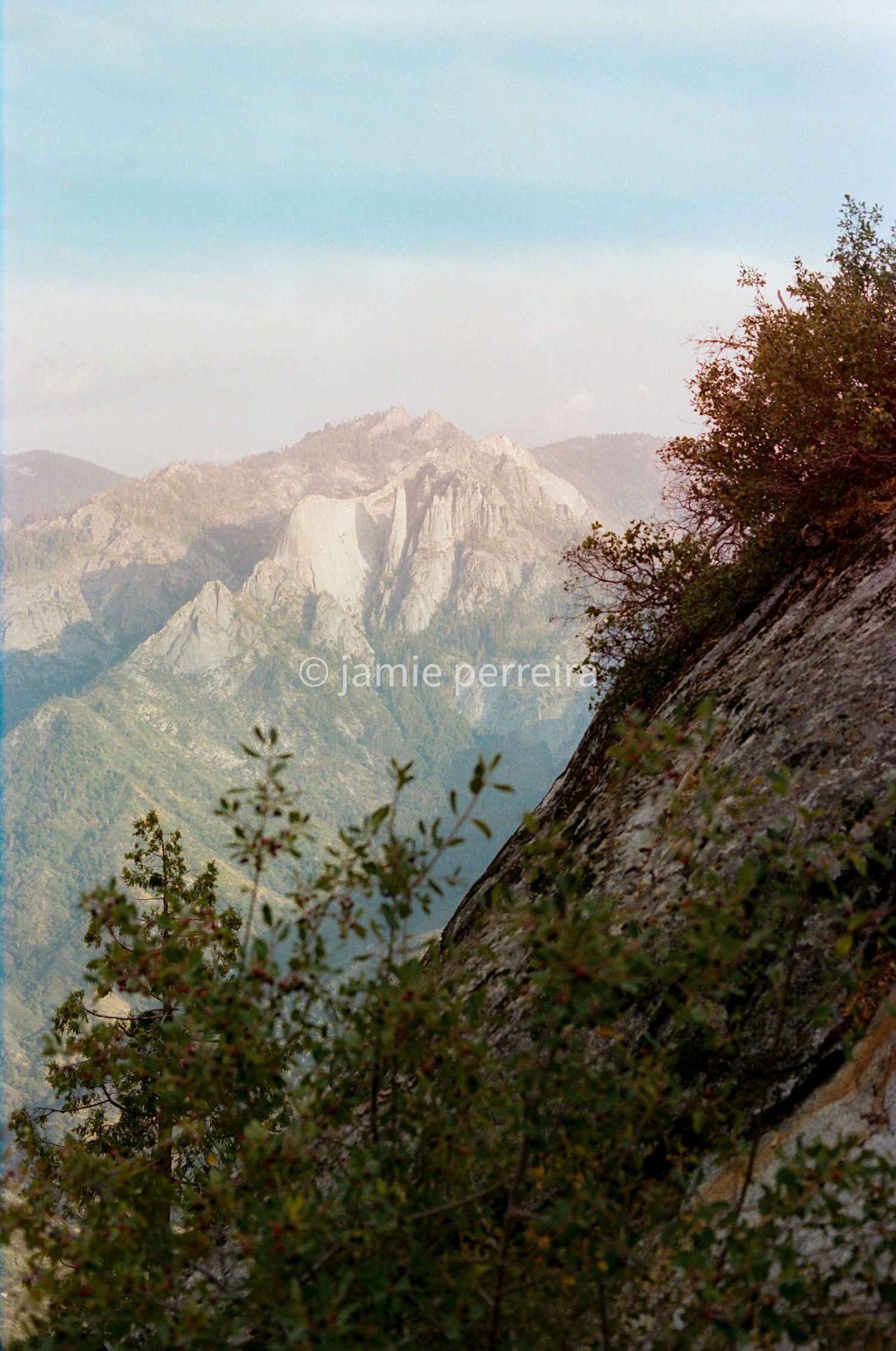 Misty mountain landscape with rocky peaks, lush green trees, and a red-leafed shrub in the foreground under a pale blue sky.