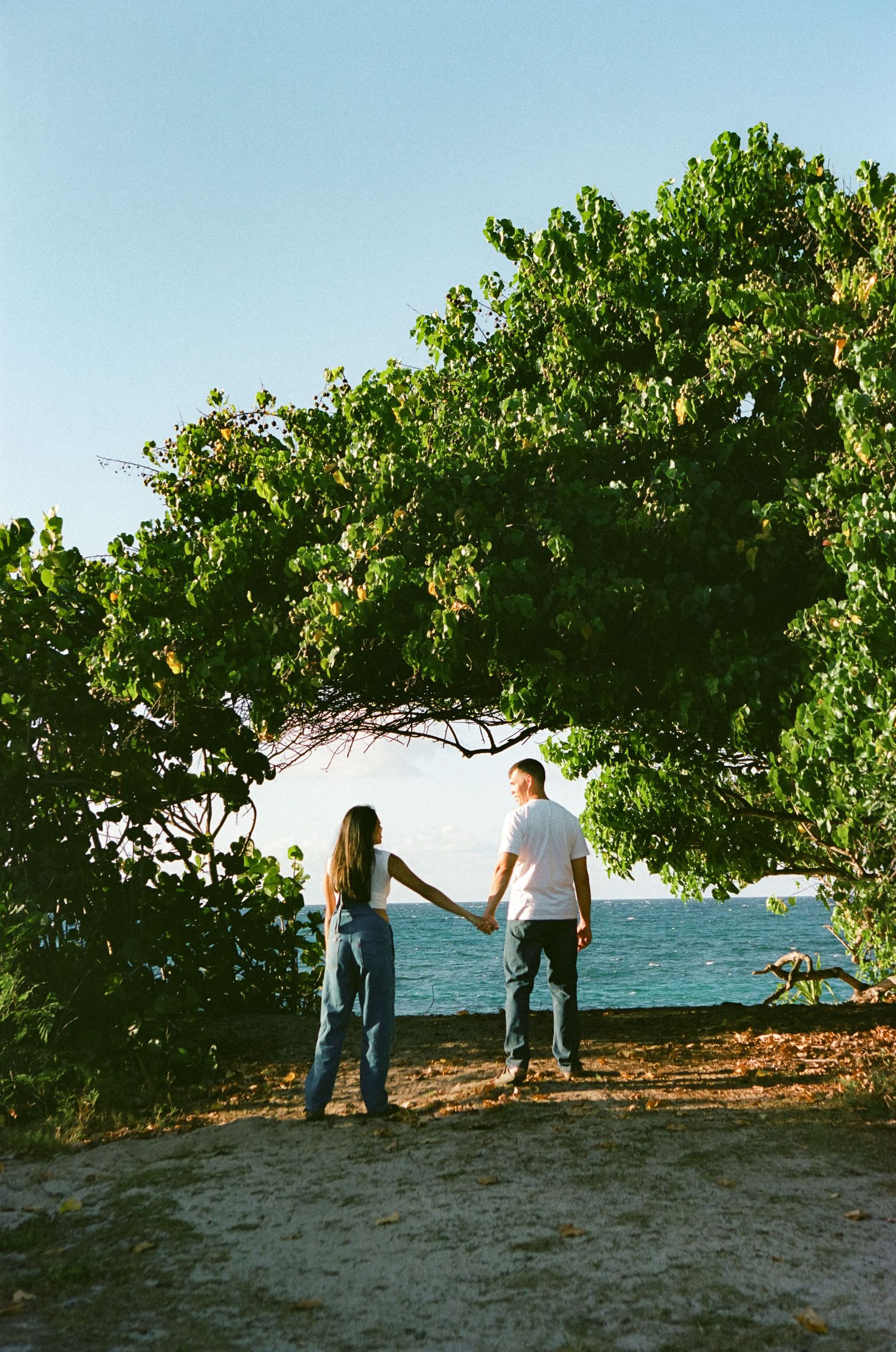 Couple holding hands walking toward ocean under large green tropical tree on sunny beach.