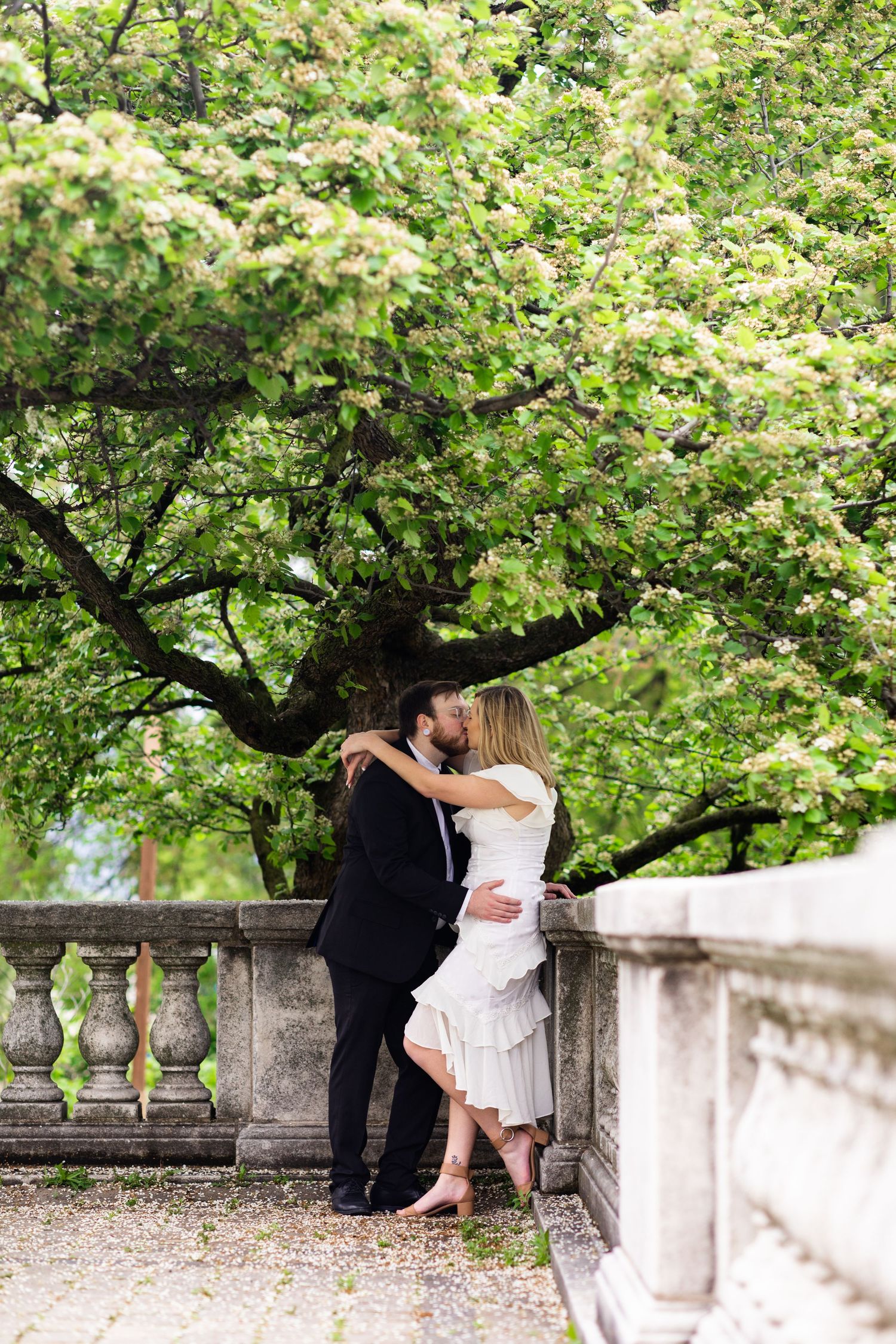 Bride and groom share a kiss beside a stone balustrade beneath a large blossoming green tree.