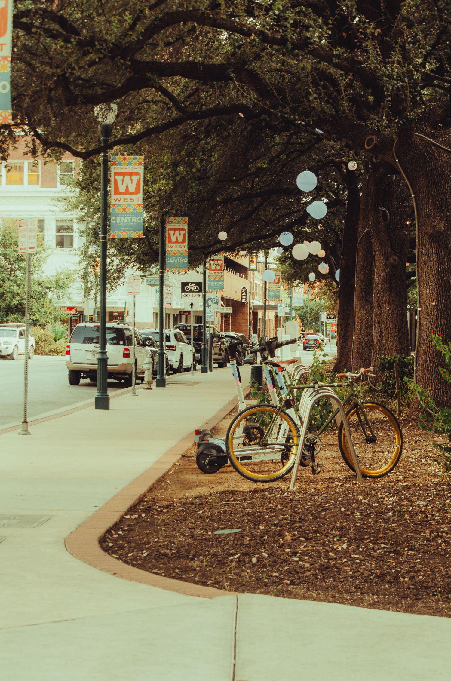 Bicycles parked along a tree-lined urban sidewalk with decorative banners and string lights.