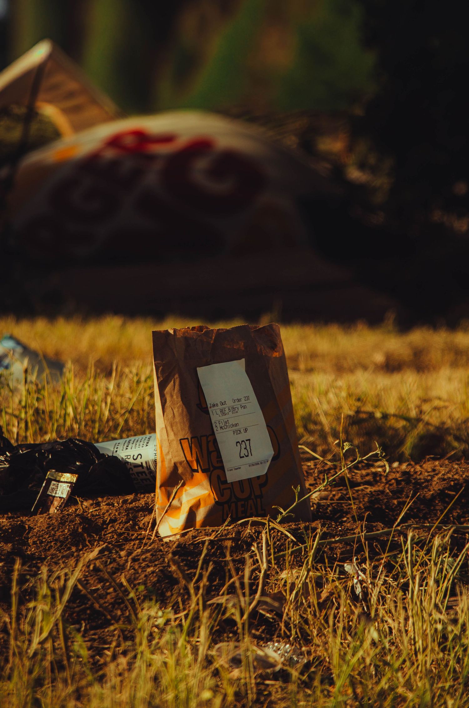 A fast food paper bag and bottle resting on dry grass in warm golden sunlight outdoors.