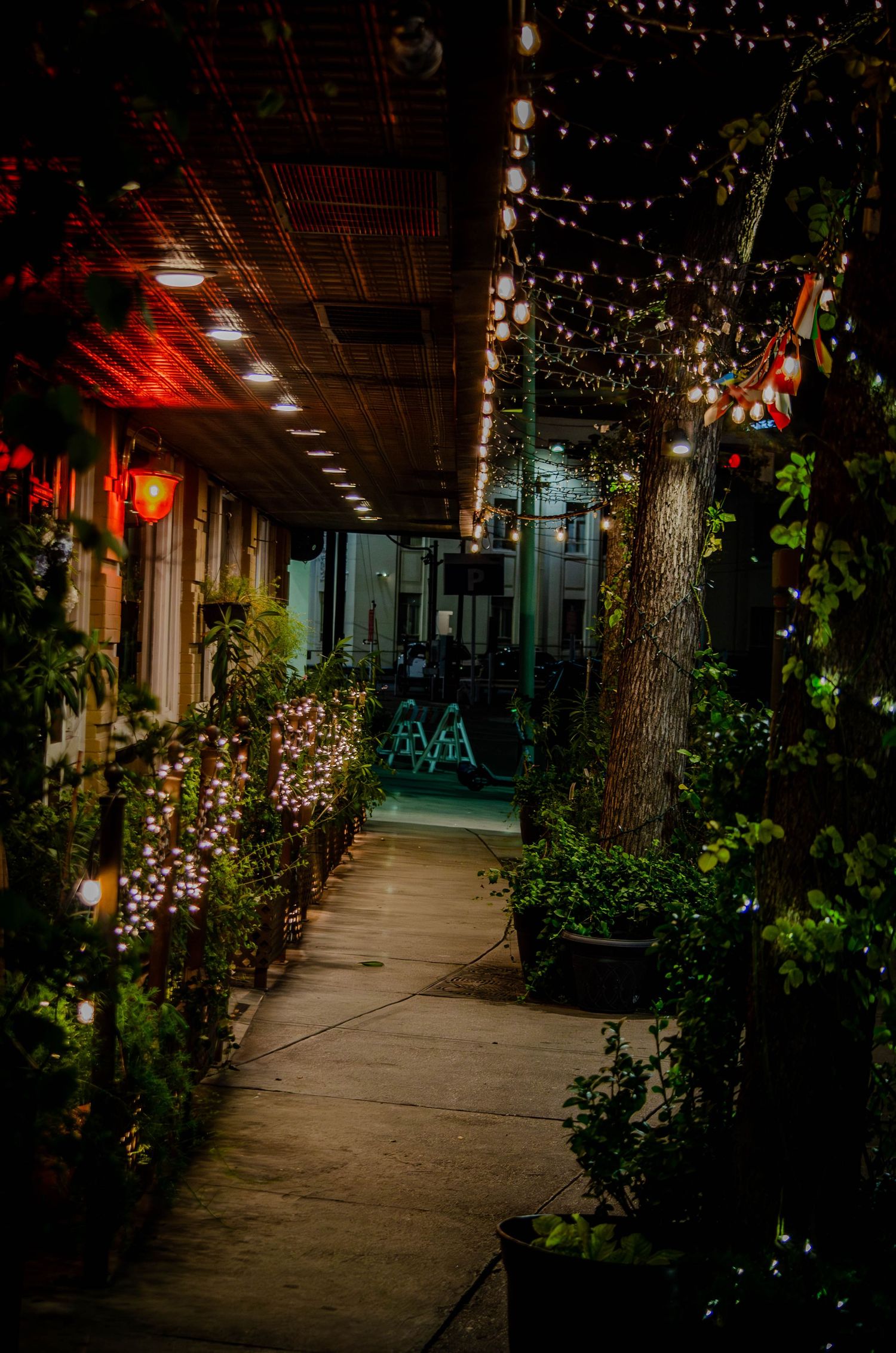 Charming outdoor alley walkway lined with string lights, lush plants, and colorful flowers at night.