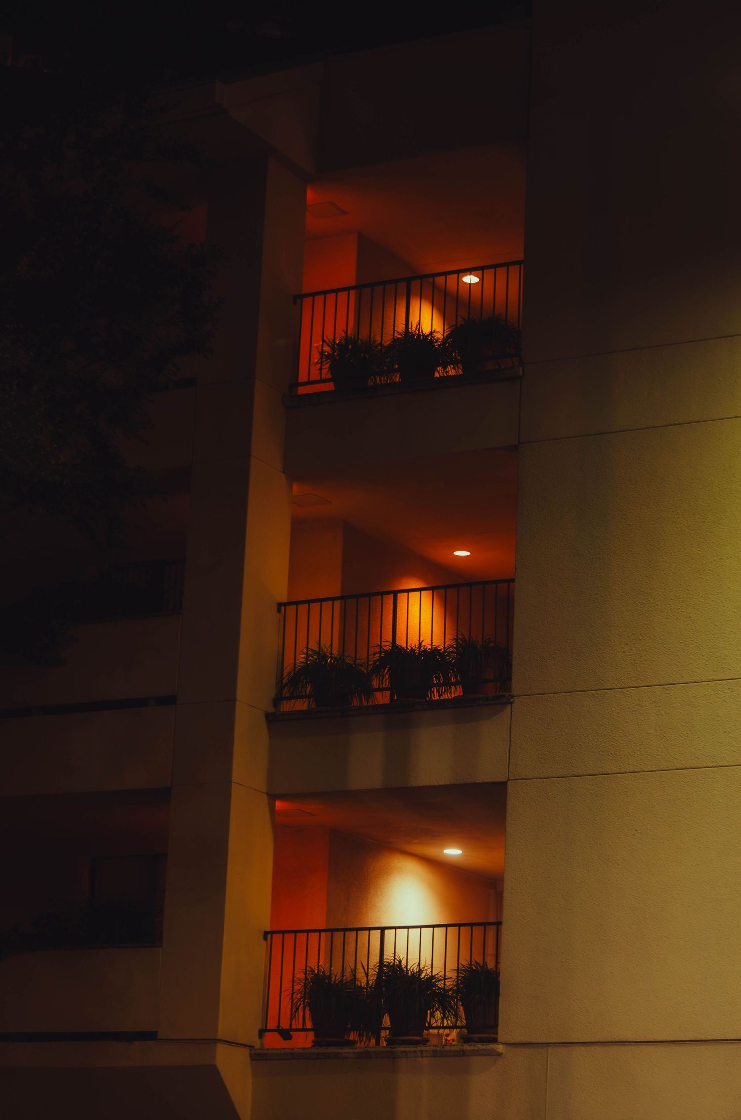 Three illuminated apartment balconies with potted plants glowing warmly at night.
