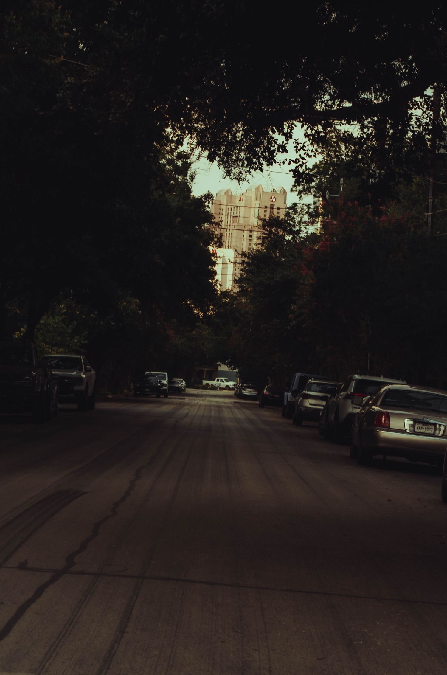Tree-lined urban street at dusk with parked cars and a tall building visible in the distance.