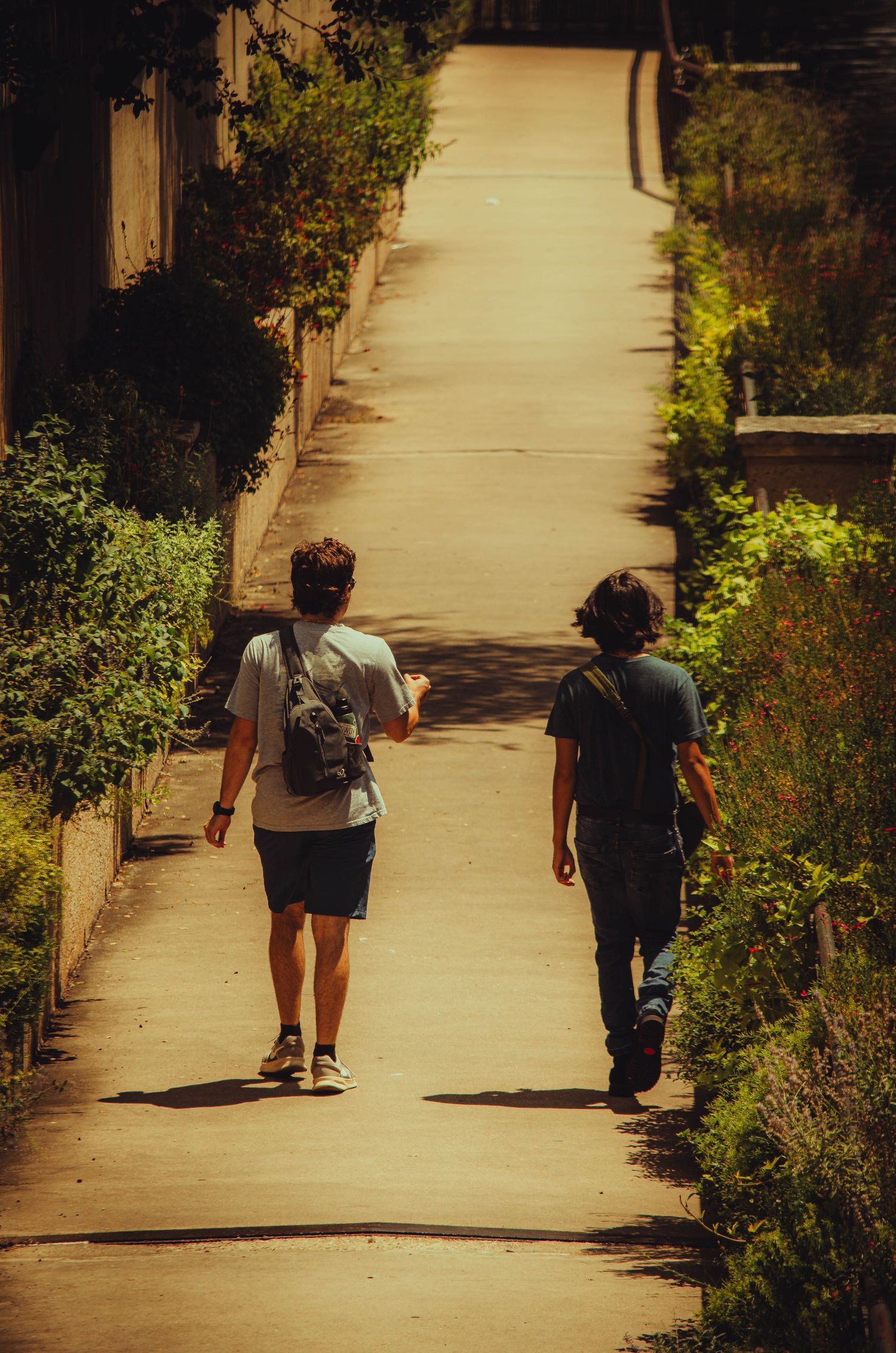 Two young men walking away down a sunny narrow pathway lined with green plants and bushes.