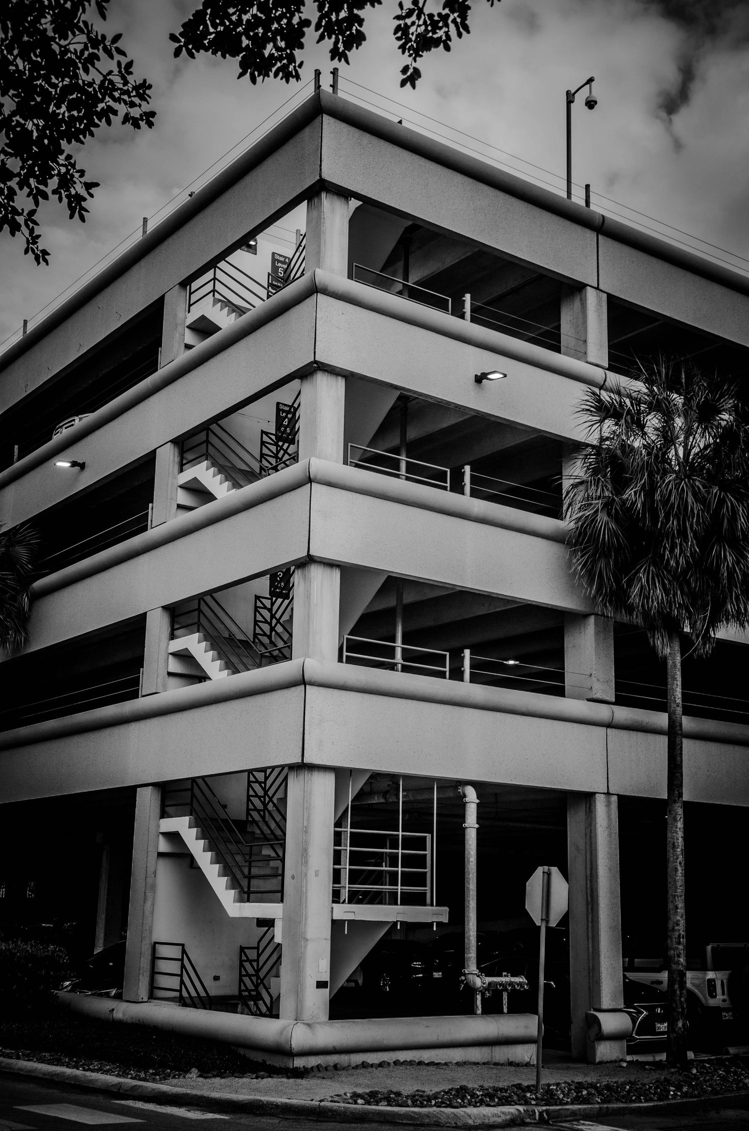 Black and white photo of a multi-story concrete parking garage with exterior staircases and palm trees.