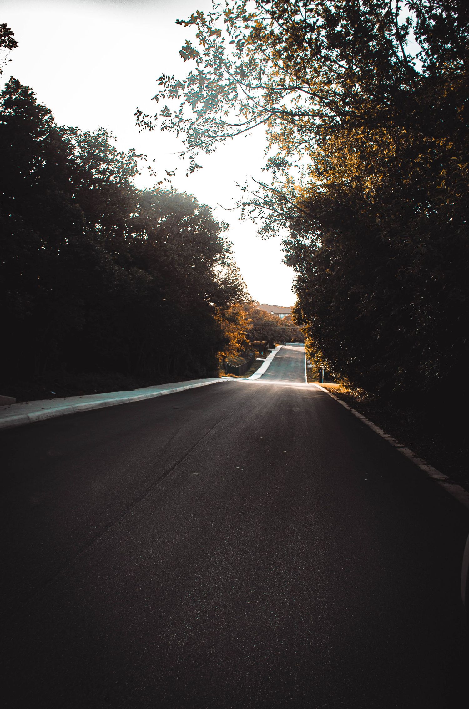 Empty paved road lined with autumn trees leading into bright sunlight in a serene landscape.