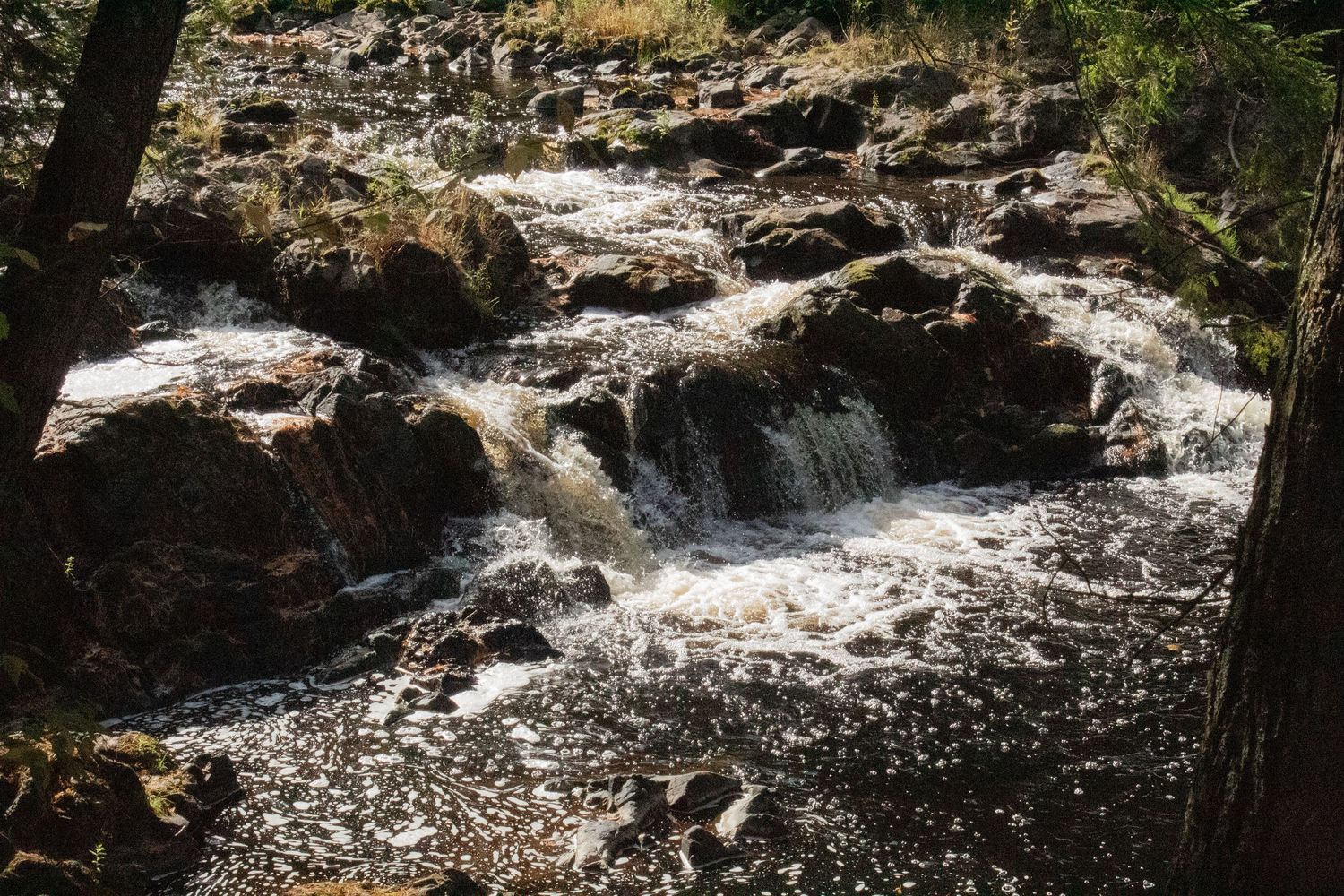 Small waterfall flowing over rocks in a wooded area