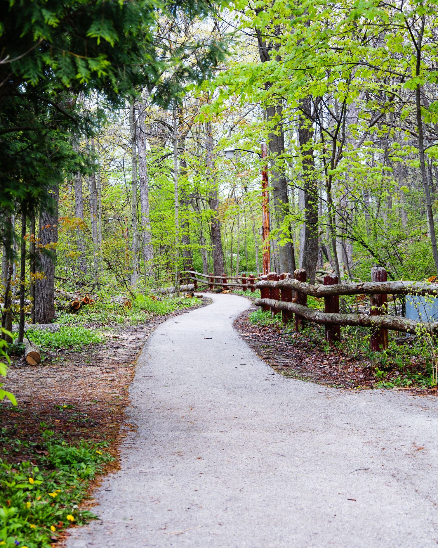 Tree-lined walking path through a green Wisconsin park