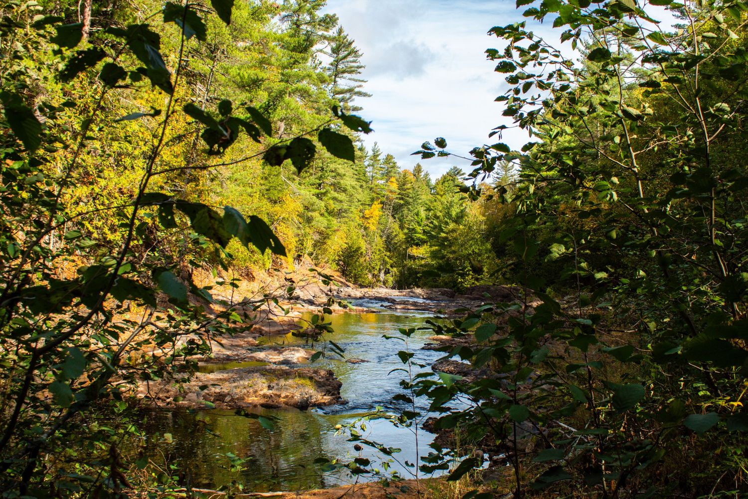 Peaceful river surrounded by green trees and rocks