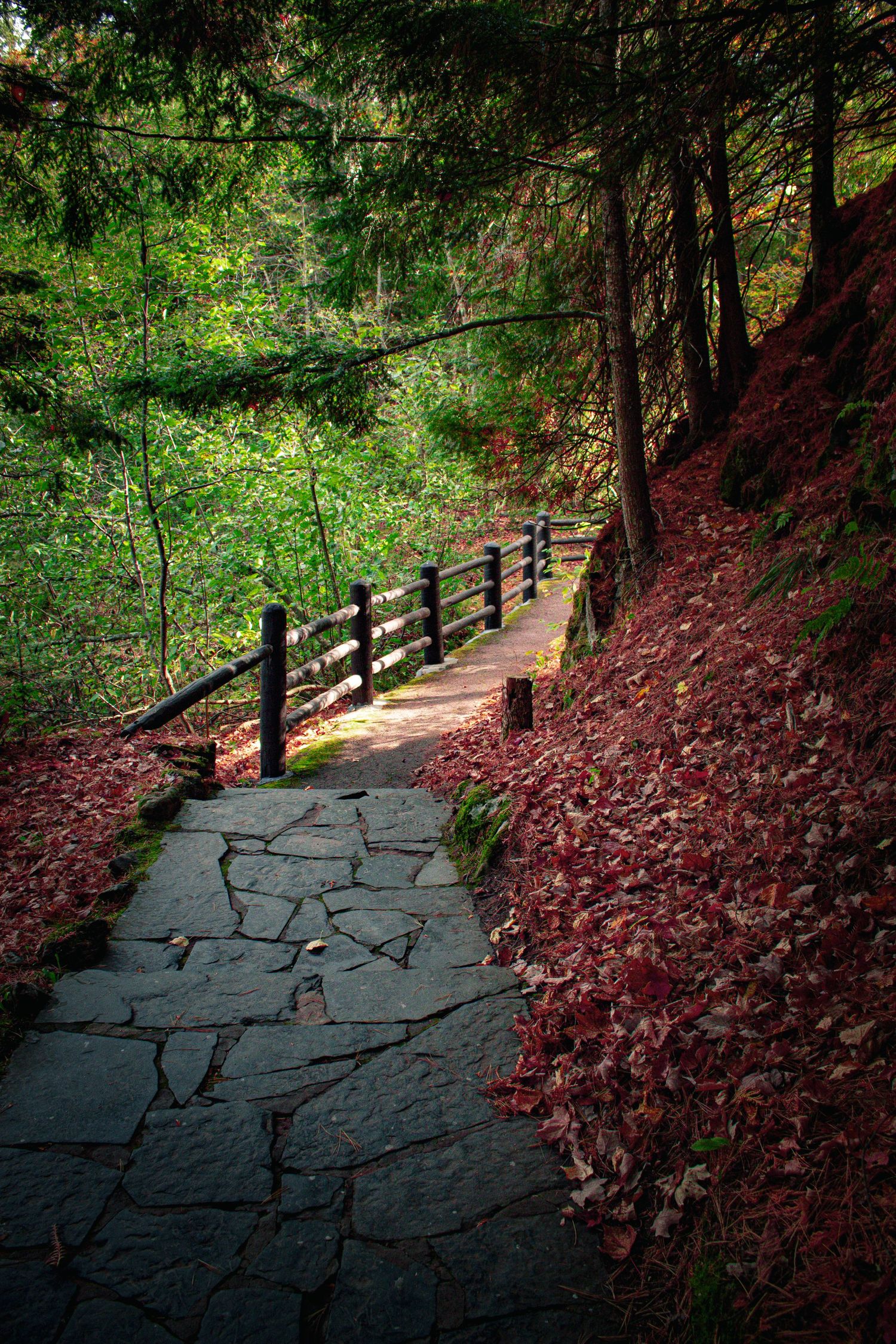 Paved walking trail with wooden fence through a wooded park
