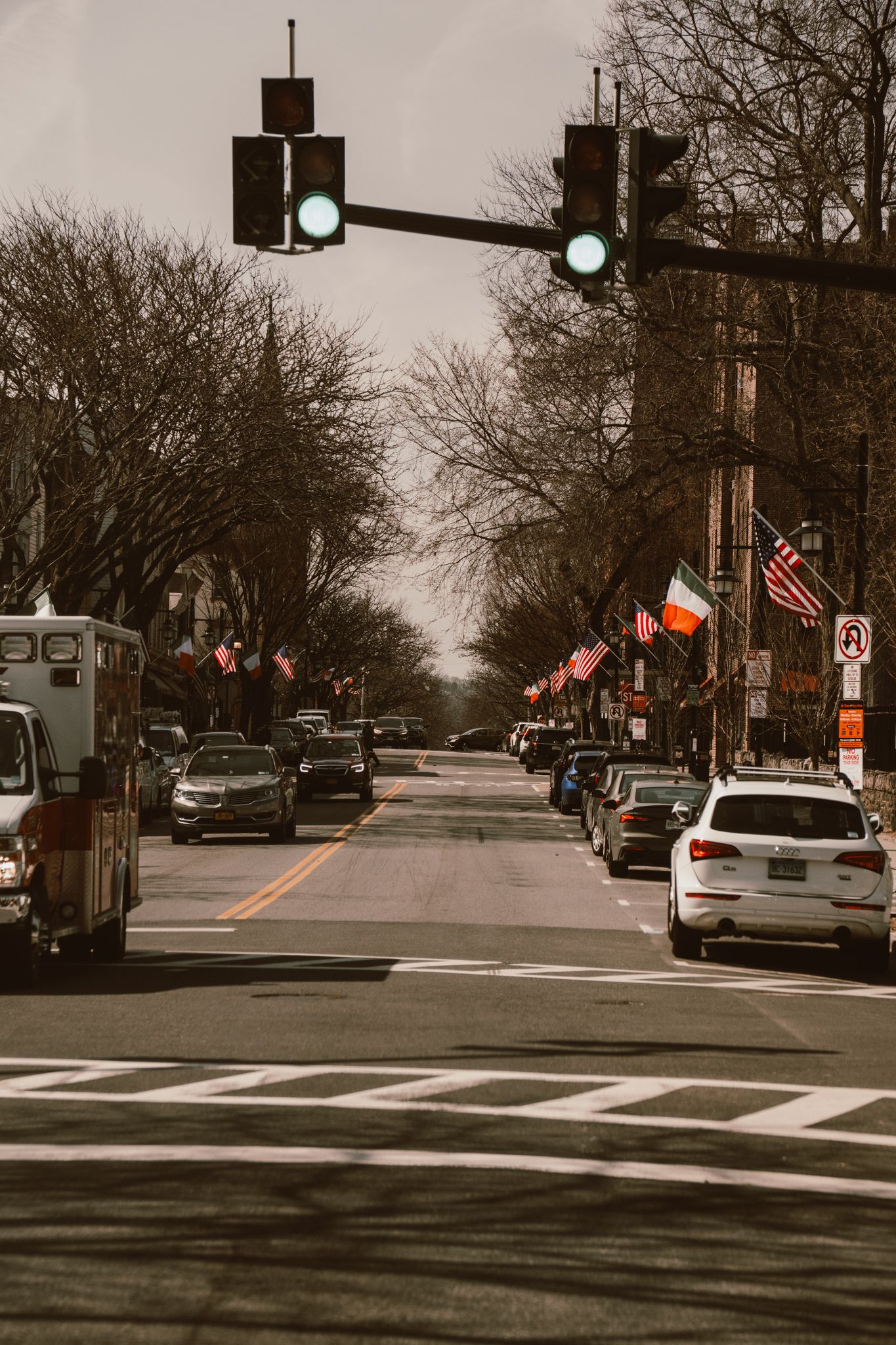 Tree-lined suburban street with green traffic lights, American and Irish flags, and parked cars on overcast day.
