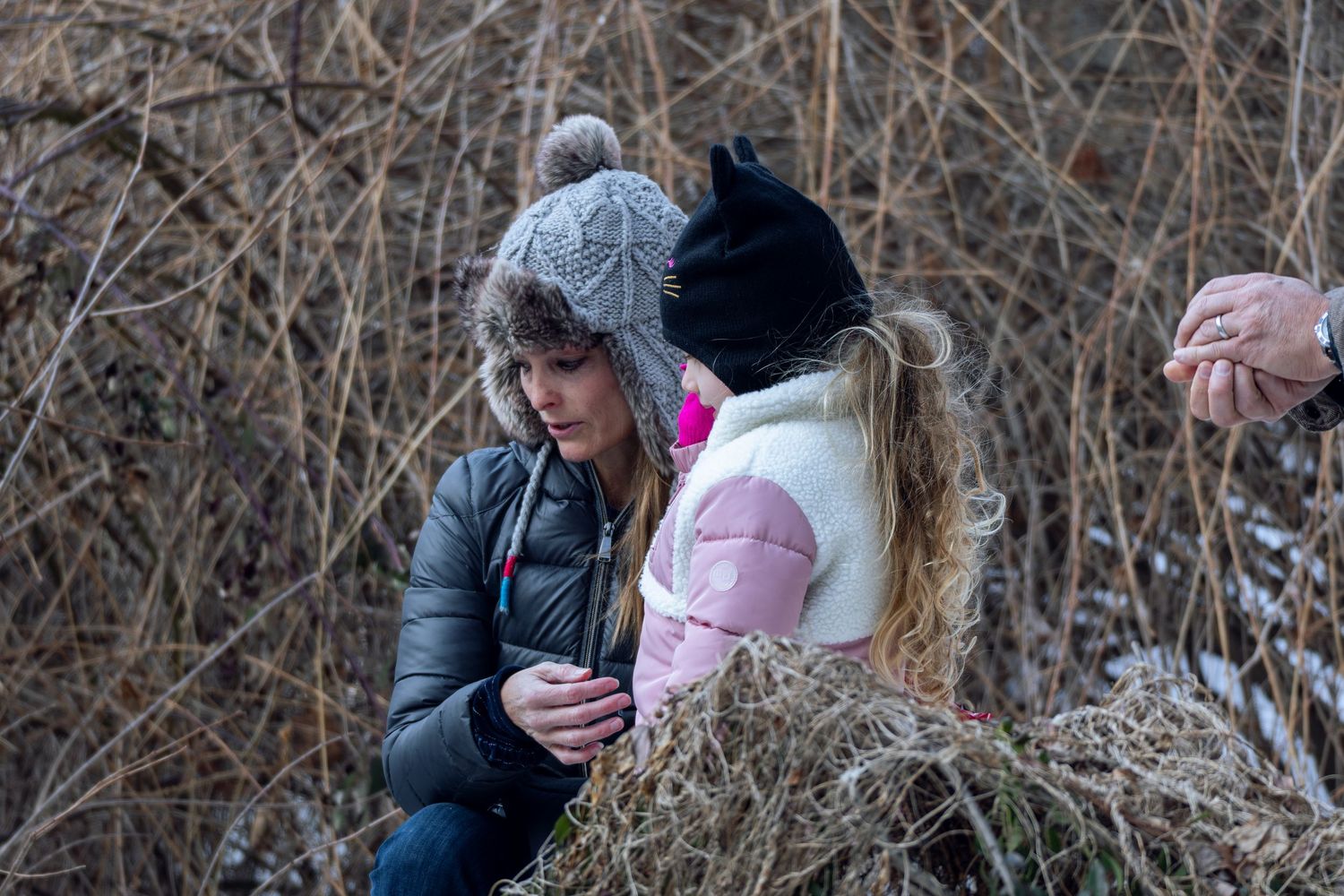 Woman in gray pom hat and child in pink jacket near dry winter brush in snow.