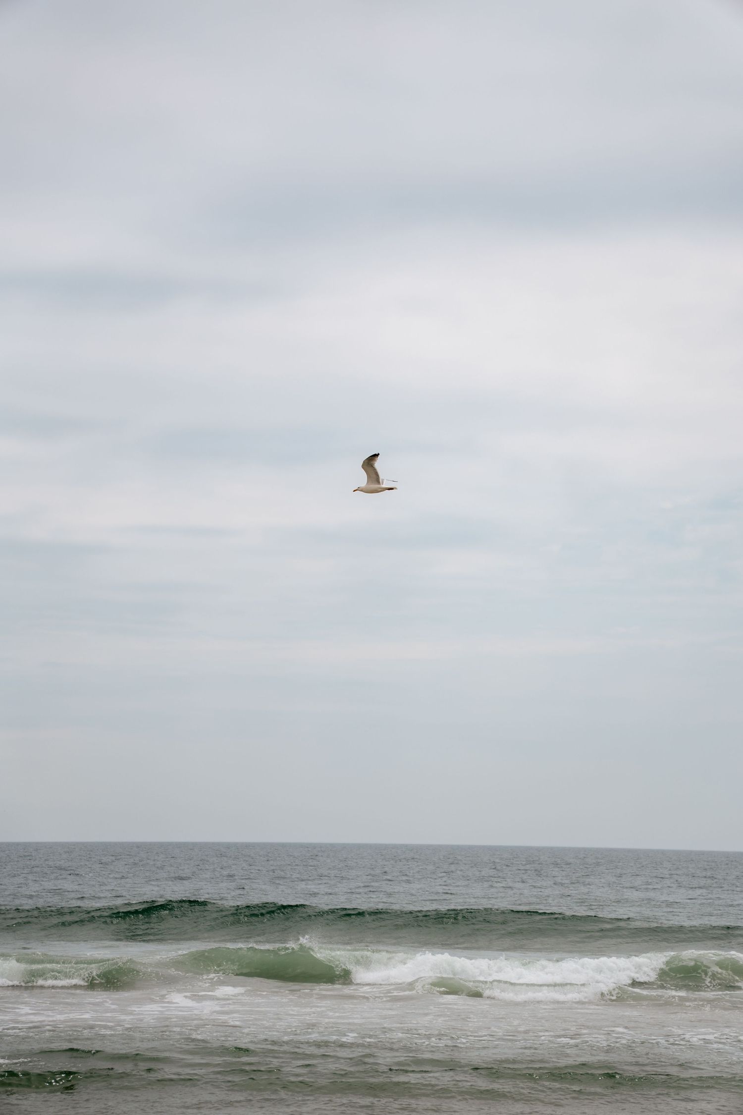 A seagull soars over gentle ocean waves under a cloudy sky at the beach.
