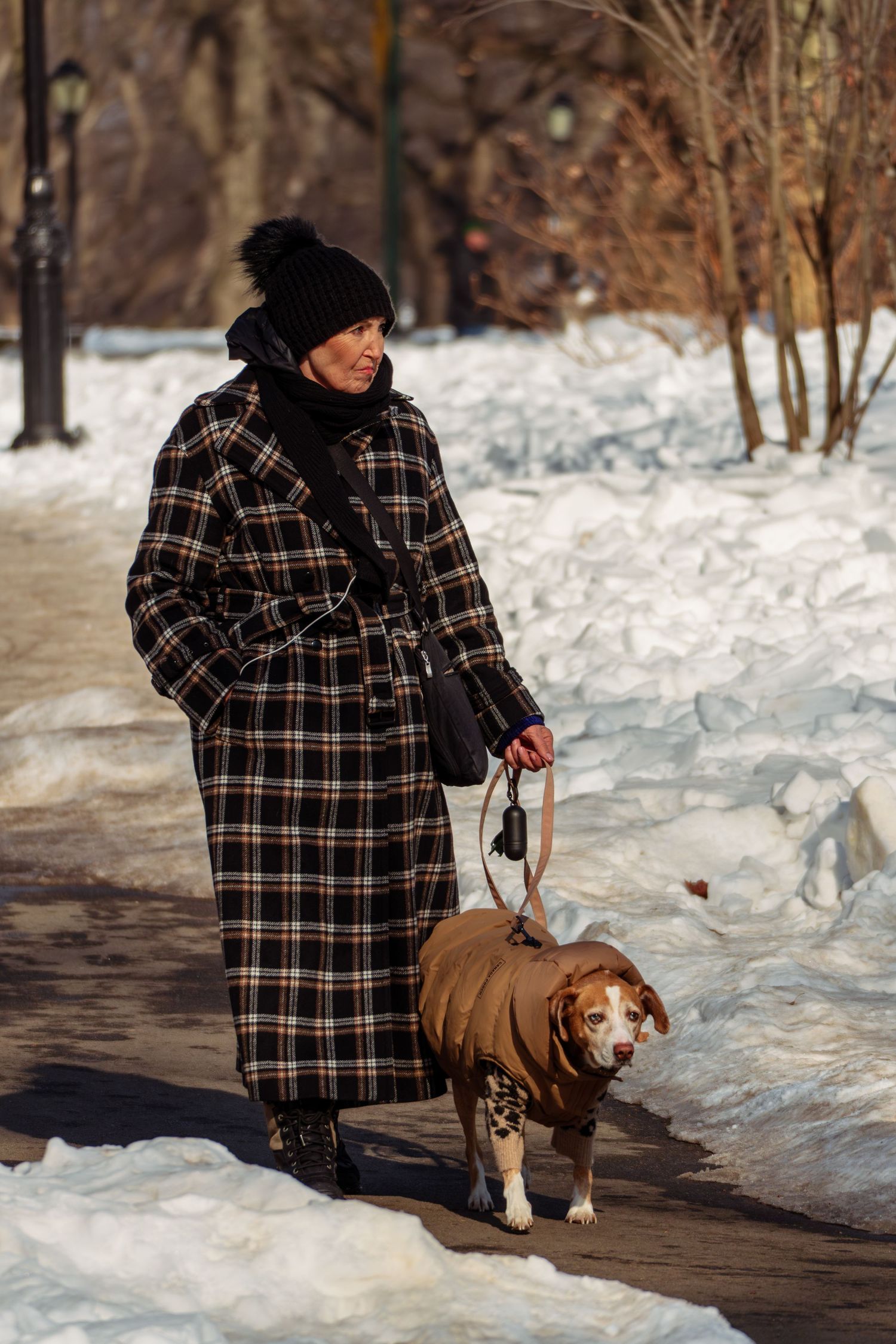 A woman in a long plaid coat walks her brown dog in a jacket along a snowy park path.