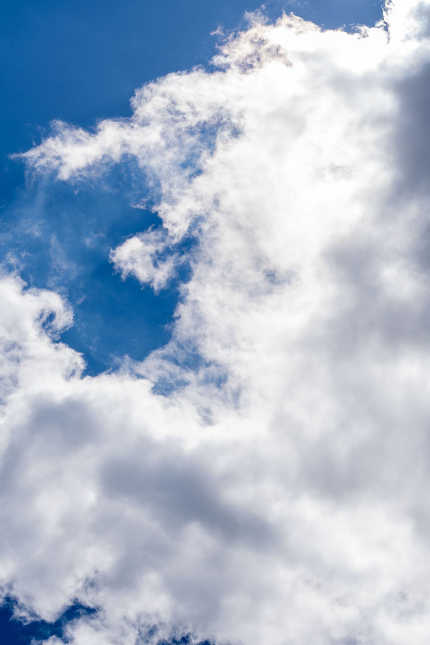 Fluffy white cumulus clouds against a bright blue sky on a sunny day.