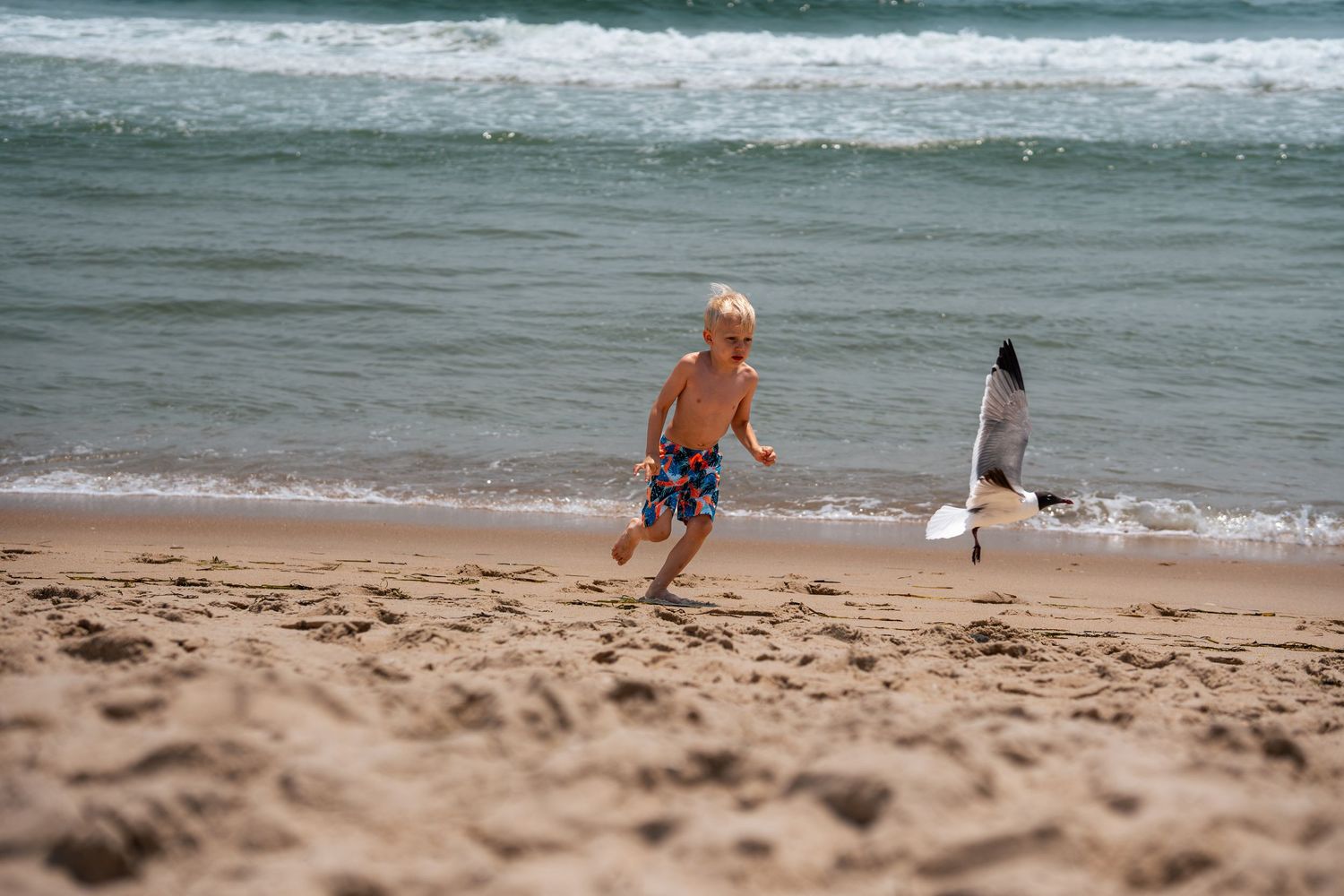 Young blonde boy running on sandy beach near ocean waves with a seagull flying close behind him.