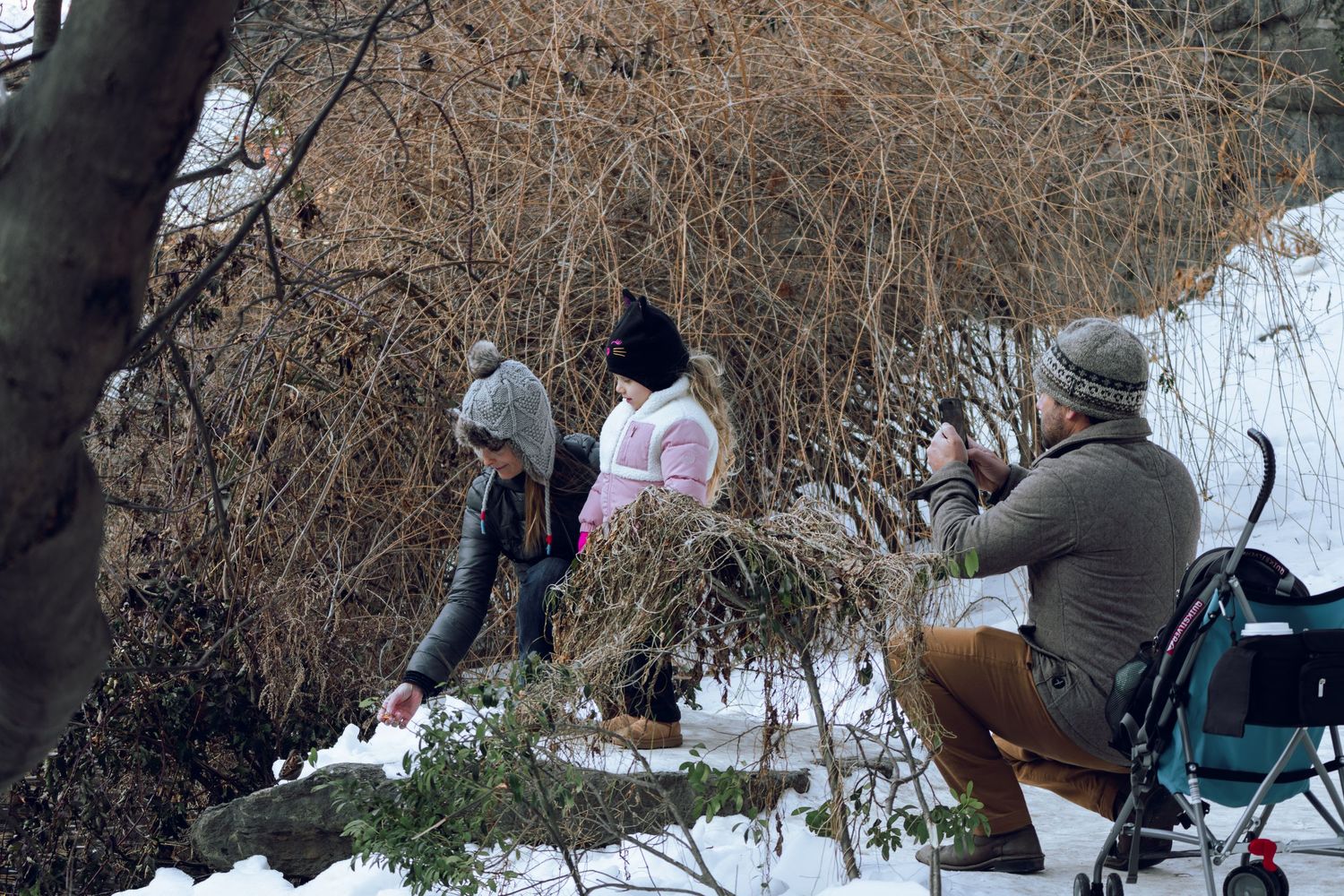 Family group exploring snowy winter landscape among bare trees with a stroller nearby.