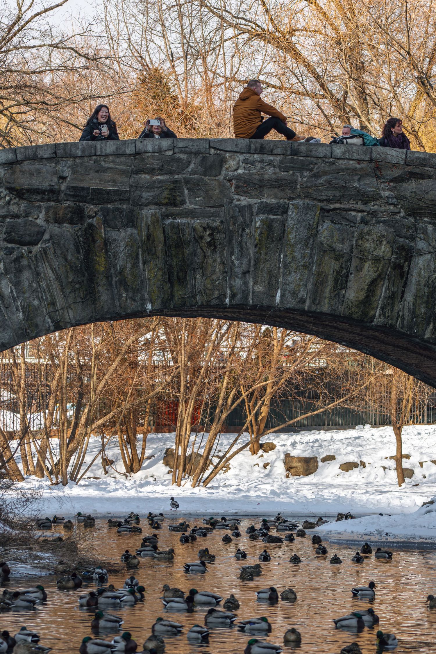 People sitting on a stone arch bridge above a pond filled with mallard ducks in a snowy winter park.