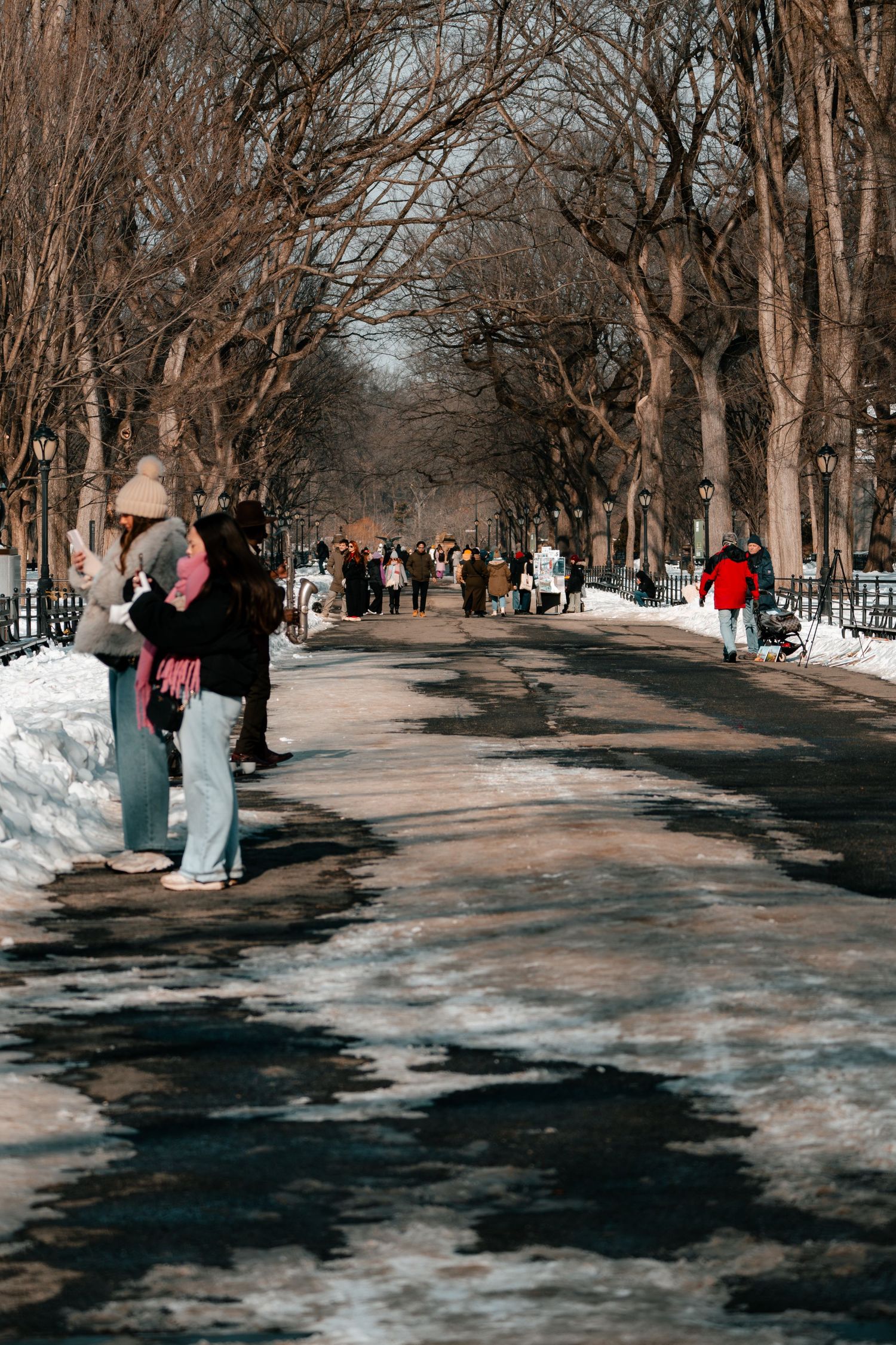 People stroll along a snow-lined tree-canopied Central Park Mall path on a bright winter day.