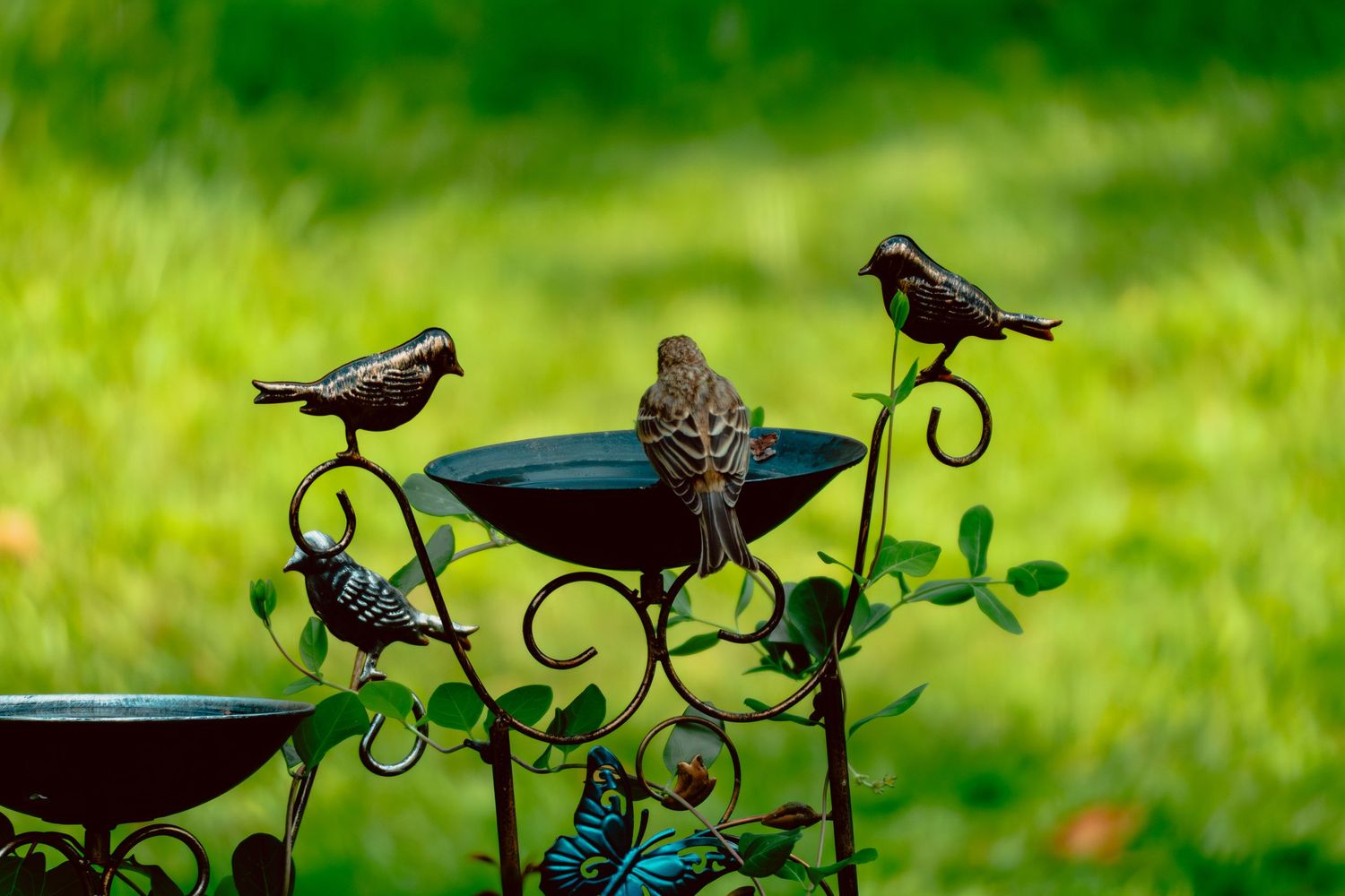 A real bird perches on a decorative metal bird bath with ornamental bird sculptures in a lush green garden.