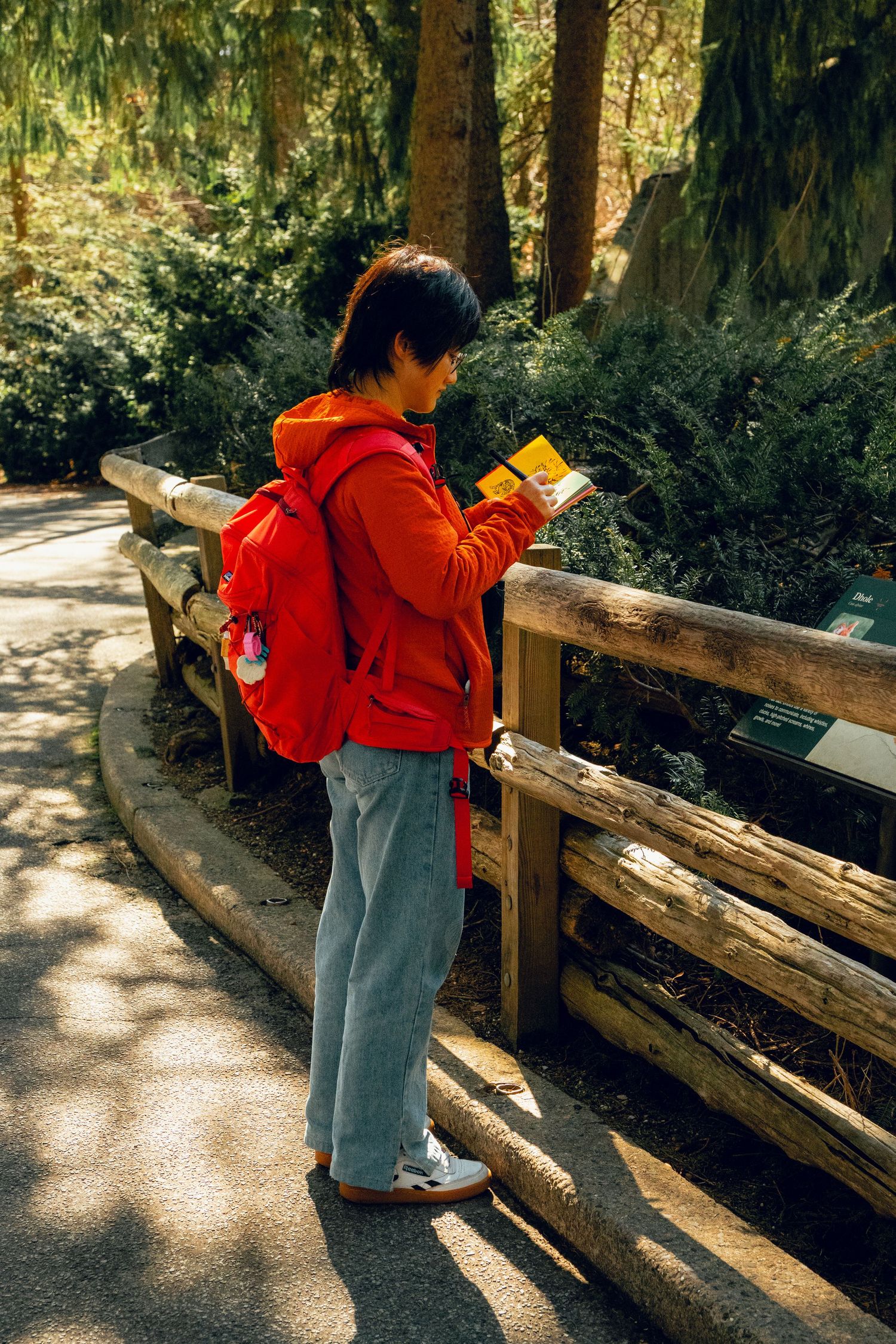 A person in a red hoodie and backpack reading a map while standing at a wooden fence on a forest trail.