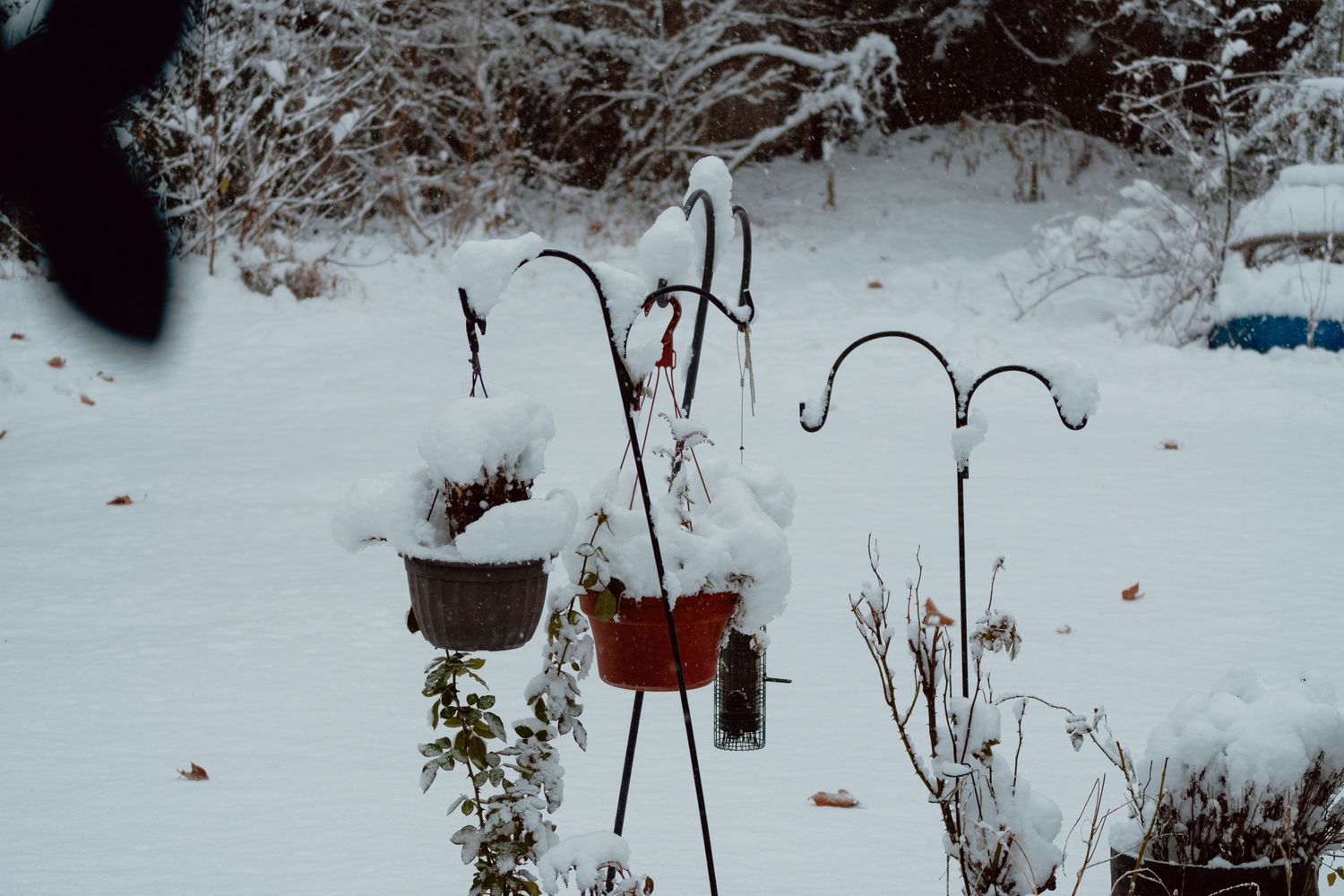 Snow-covered shepherd hook plant hangers with red pots in a winter garden.