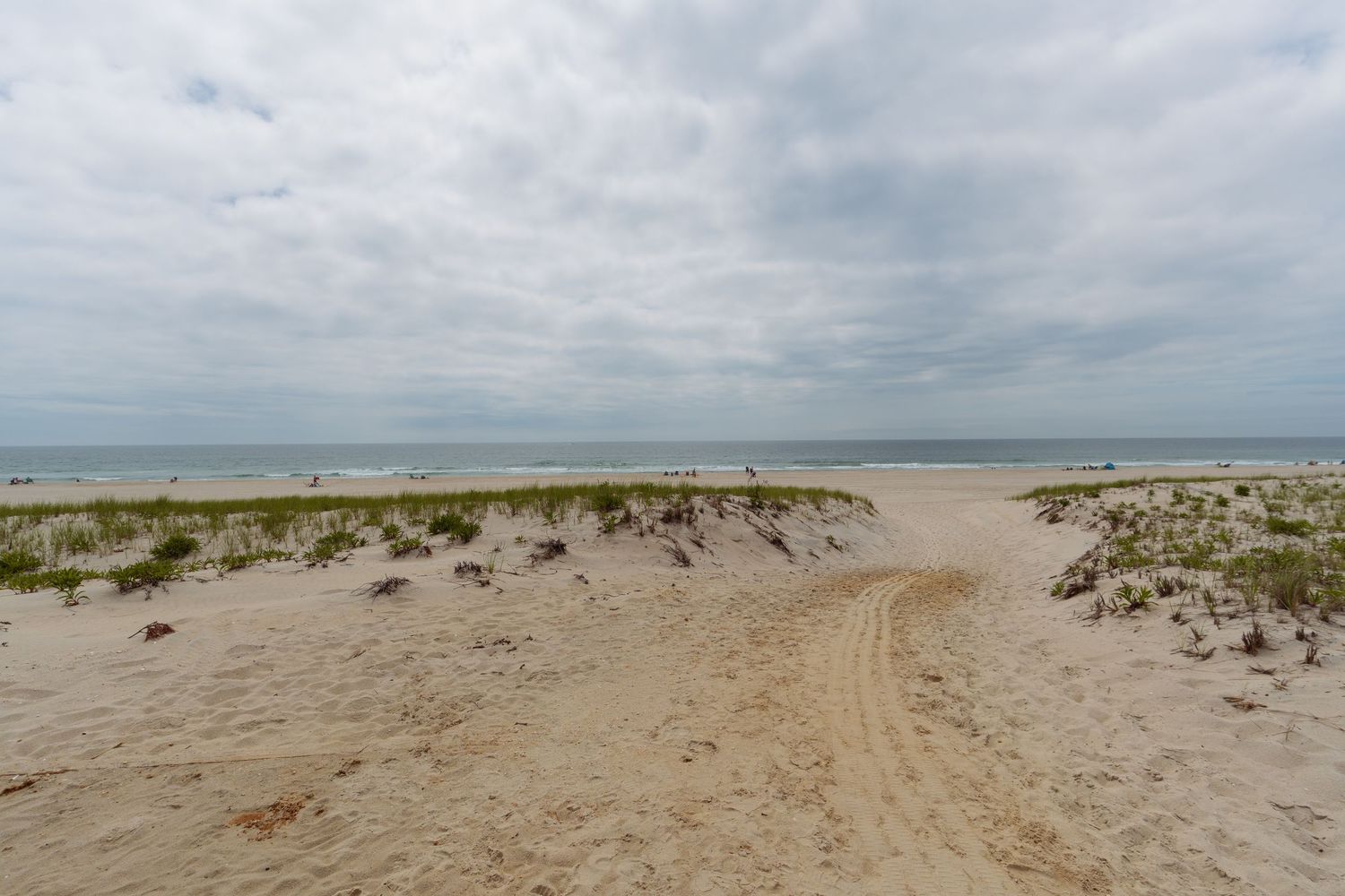 Sandy beach path through coastal dunes leading to ocean under cloudy sky.