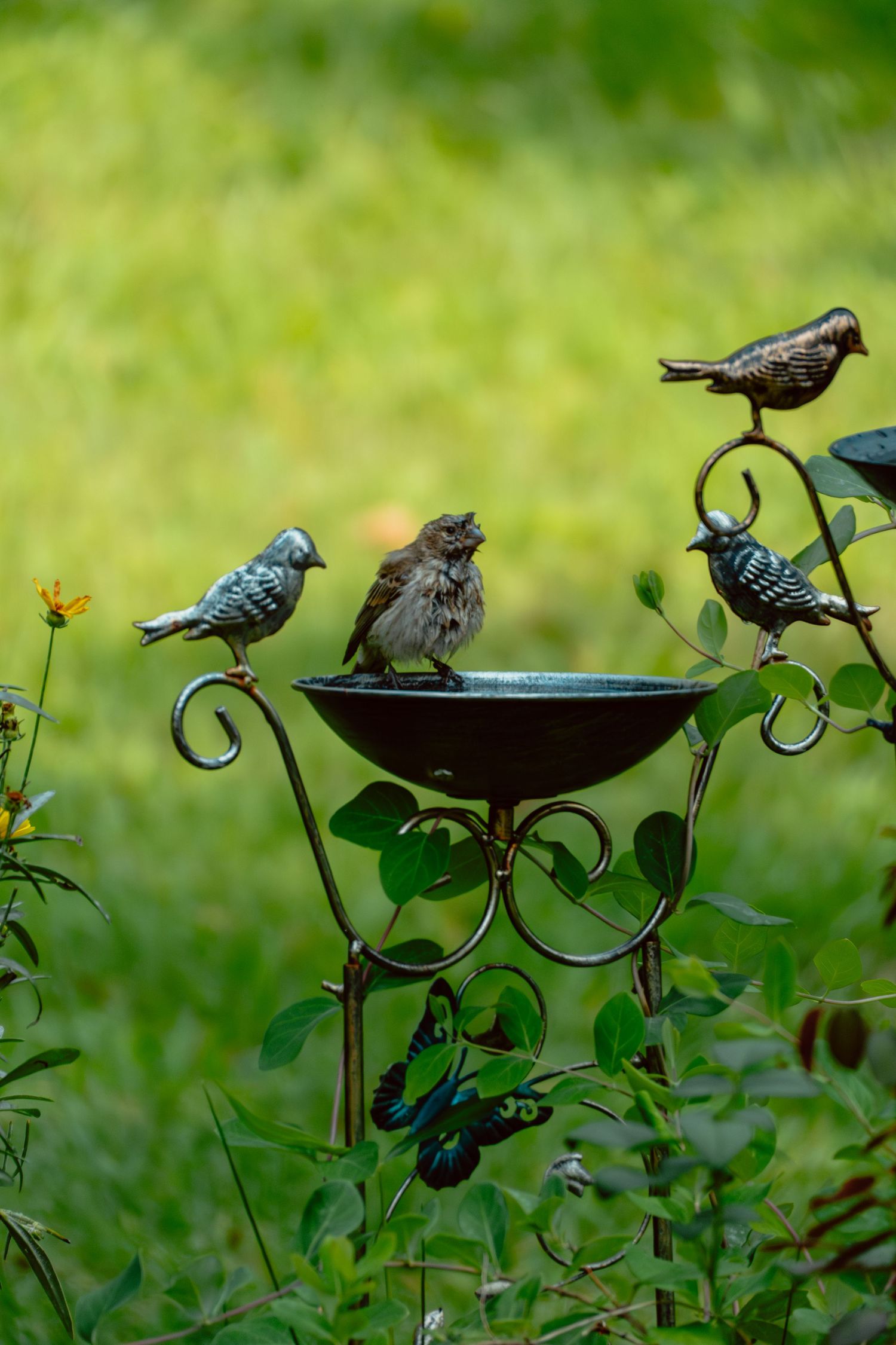 A real sparrow perches in a decorative metal bird bath with ornamental bird sculptures in a lush green garden.