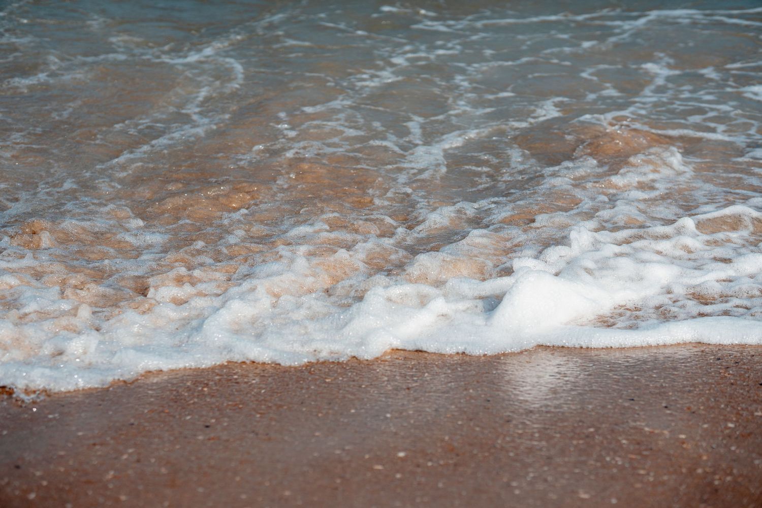 Foamy ocean waves gently washing over wet sandy beach shore with golden-brown sand.