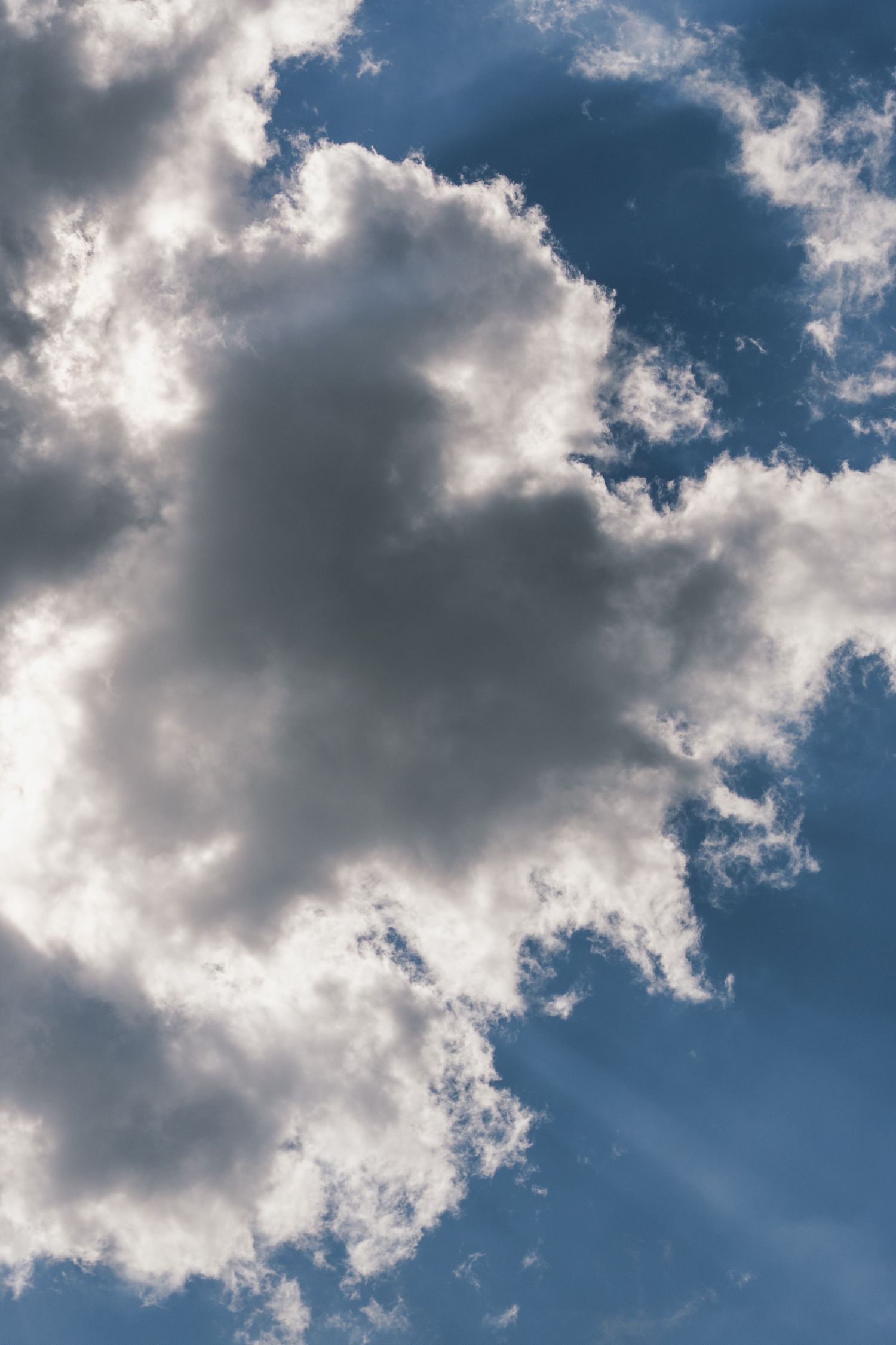 Large dramatic white and grey cumulus clouds filling a blue sky with sunlight.