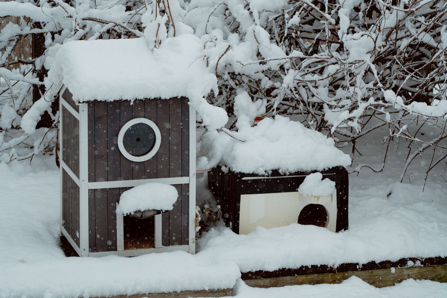 Two snow-covered wooden birdhouses in a winter garden setting.