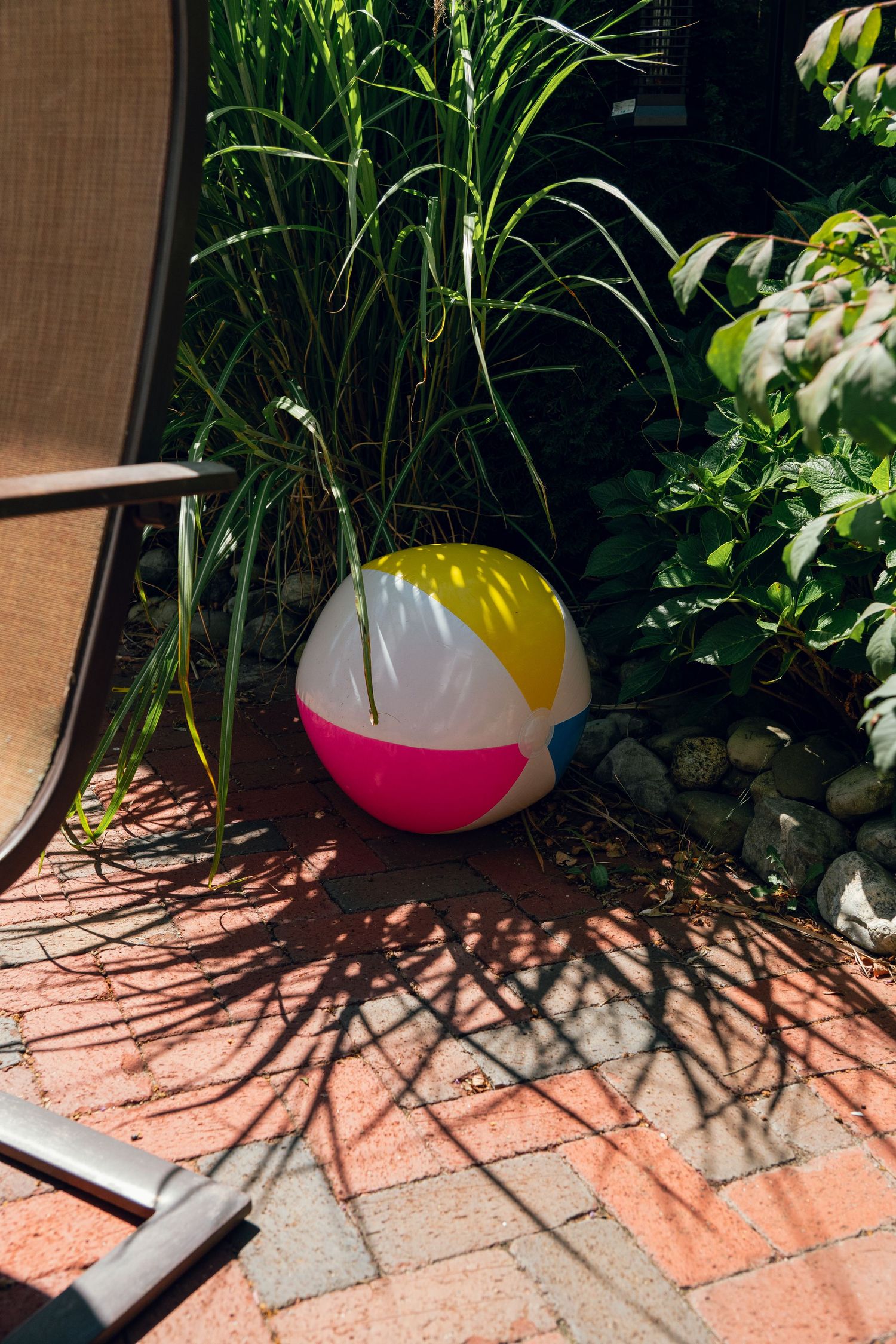 Colorful inflatable beach ball resting against green garden plants on a brick patio.