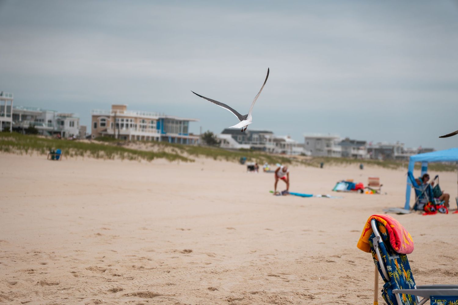A seagull flies over a sandy beach with colorful umbrellas and beachgoers near coastal buildings under an overcast sky.