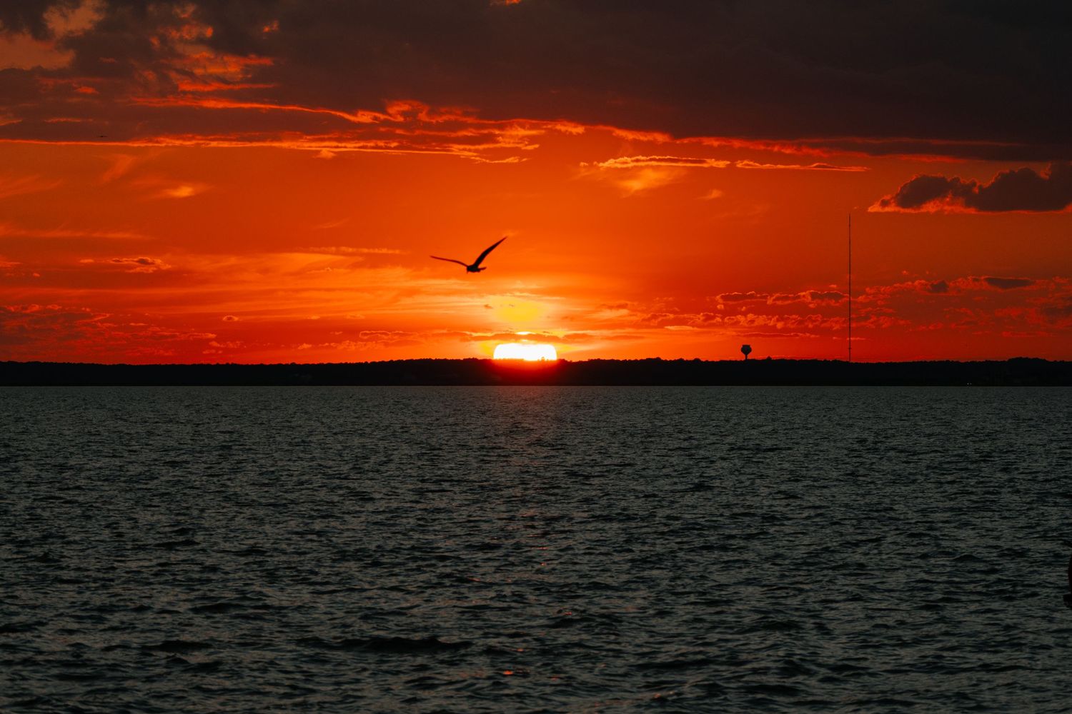 A seagull soars over dark waters beneath a vivid red and orange sunset sky.